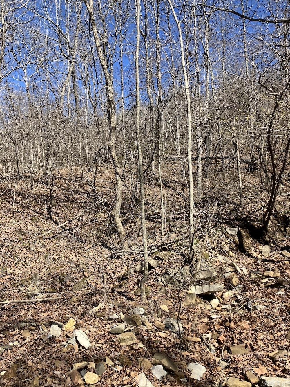  Old 66 Road  Oxley, AR