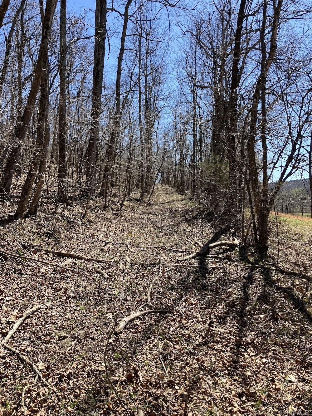  Old 66 Road  Oxley, AR