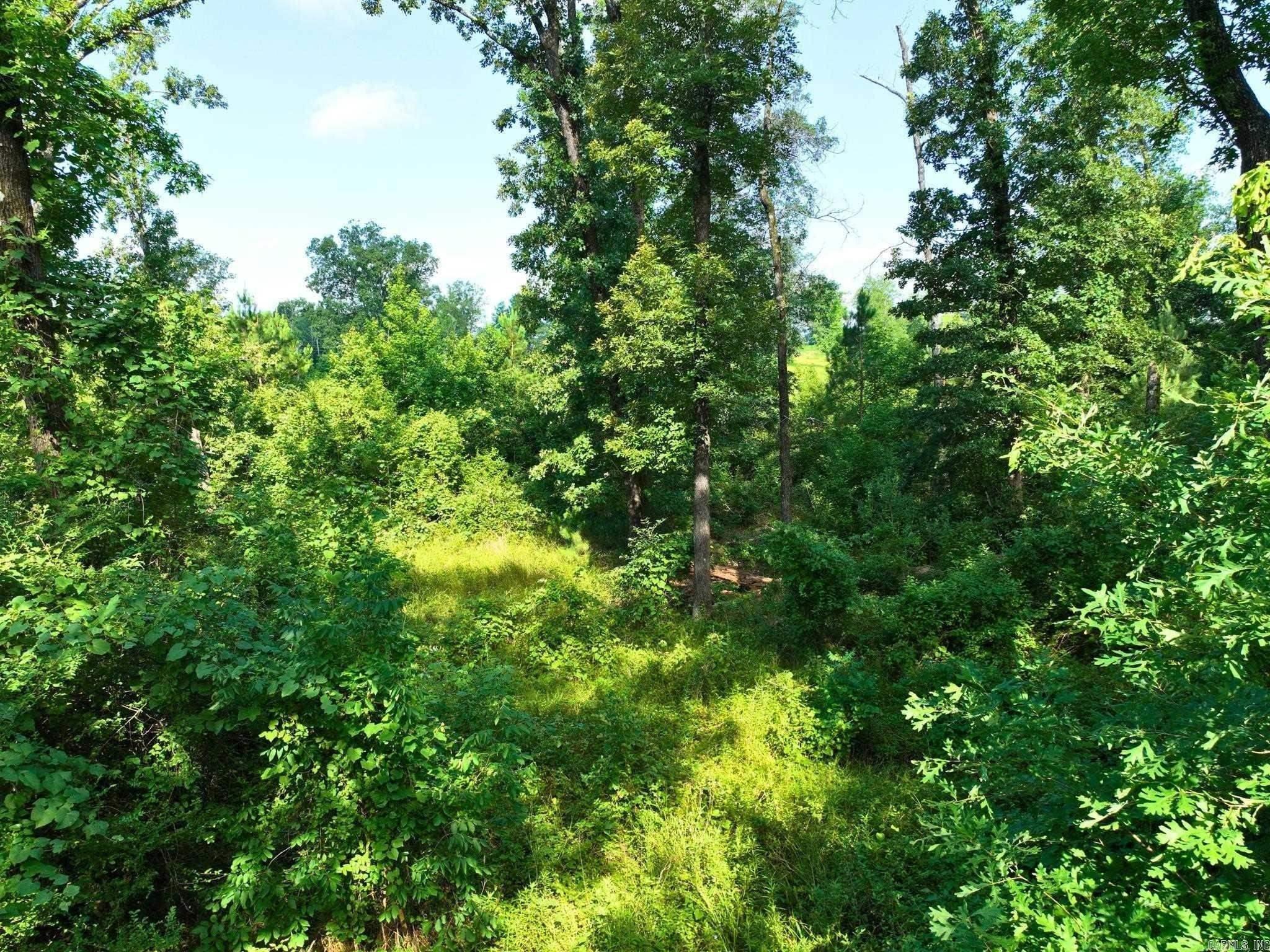 6973 Highway 7  Bismarck, AR