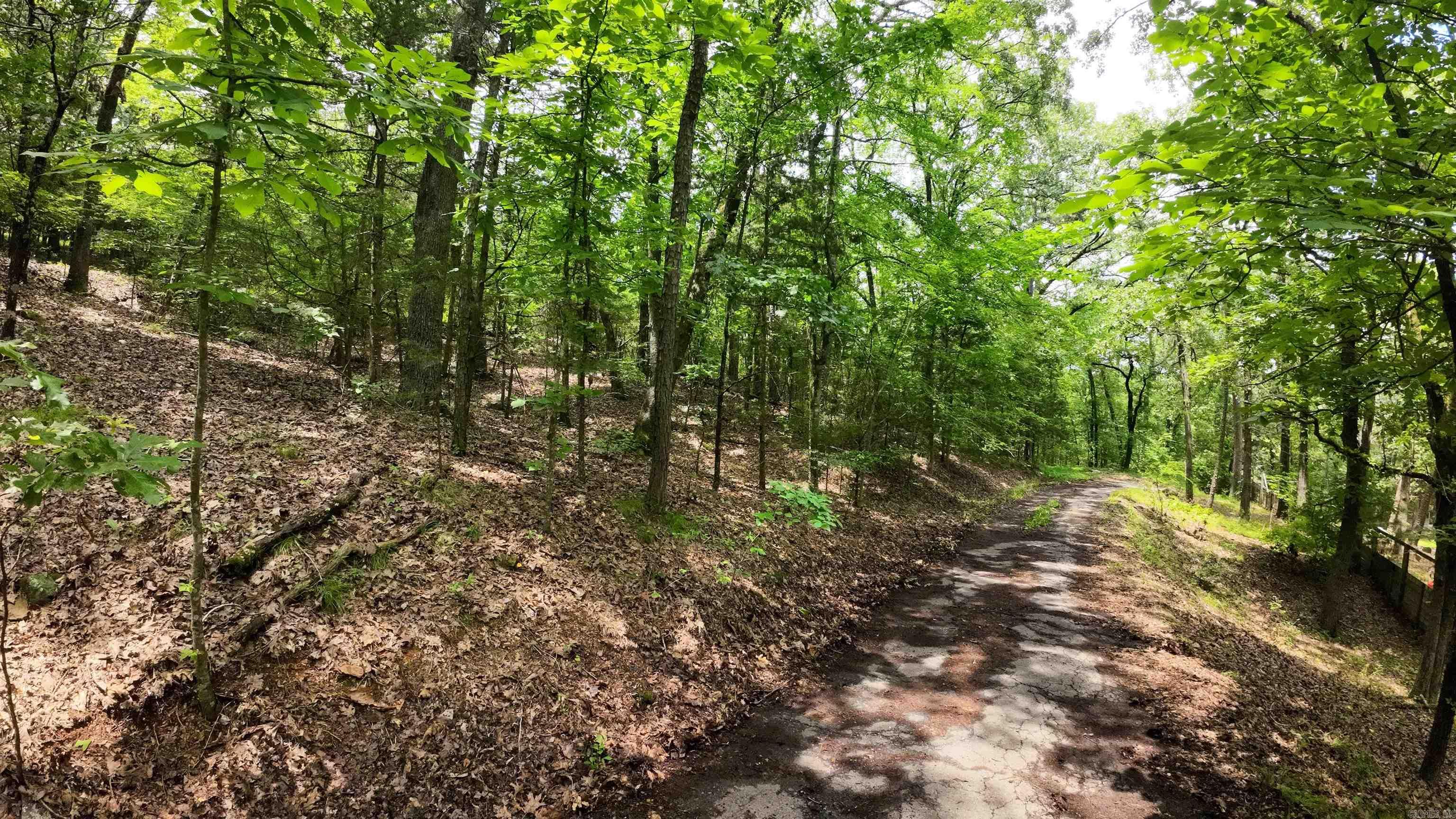 000 Long Gum  Russellville, AR