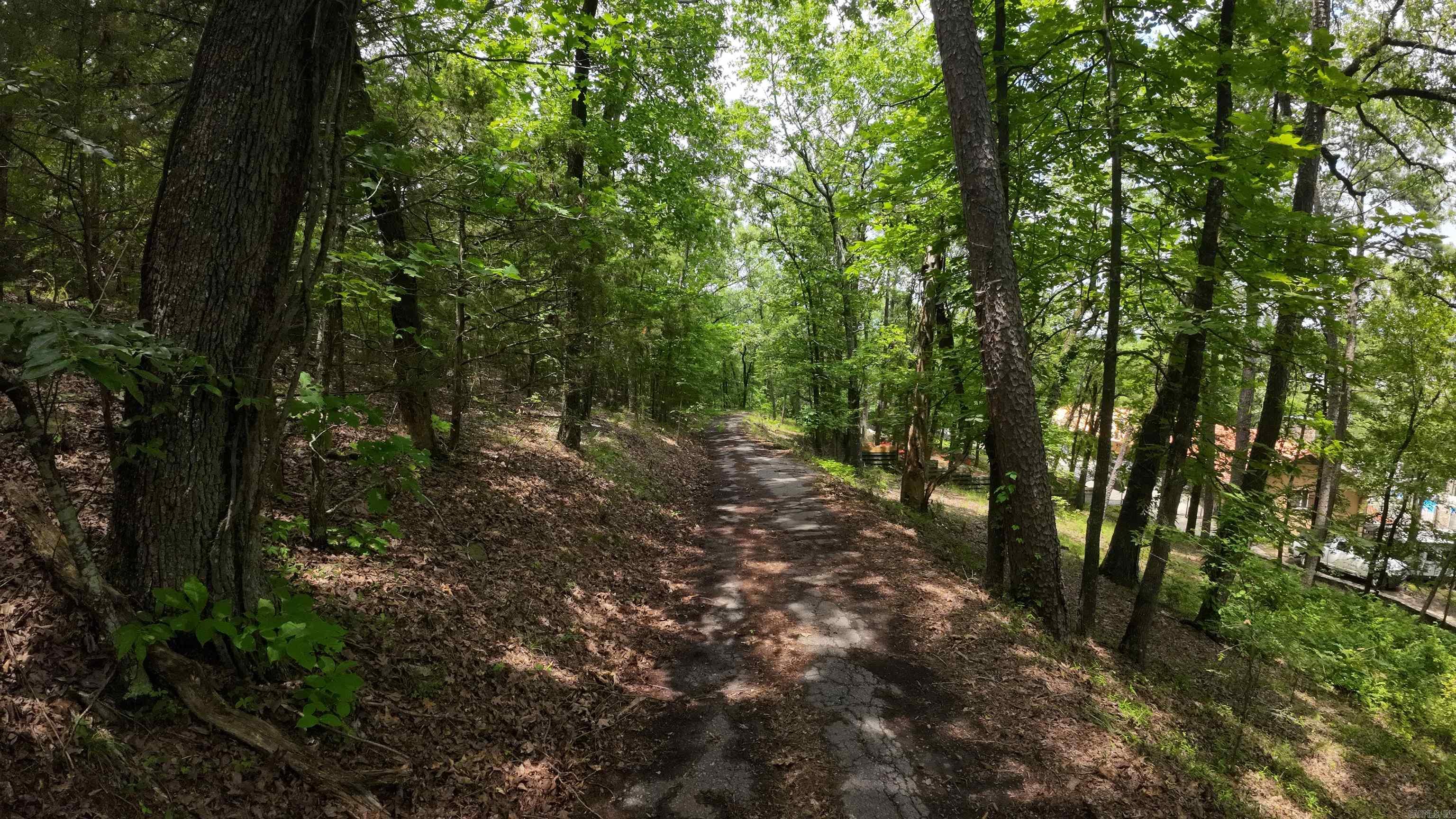 000 Long Gum  Russellville, AR