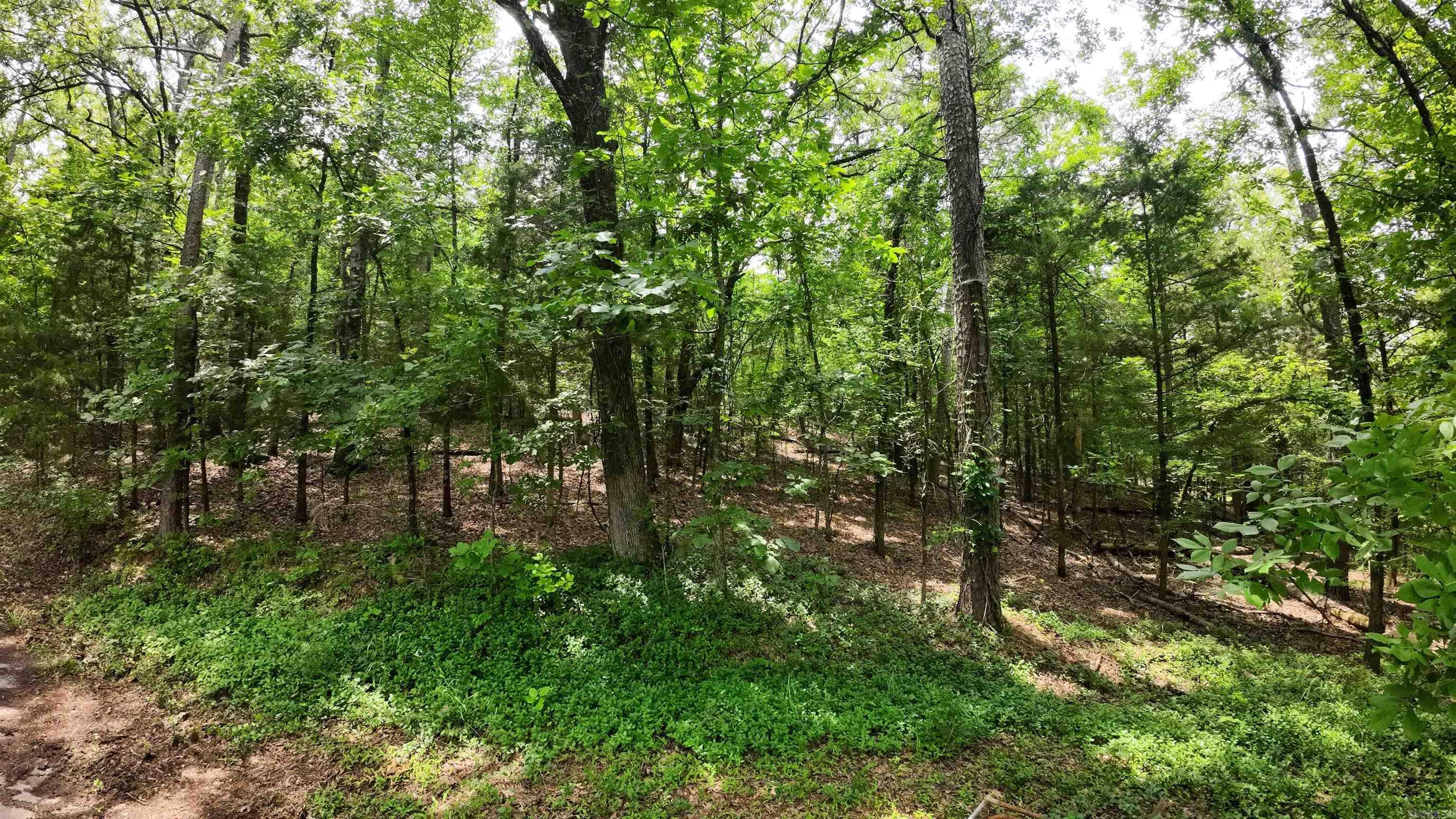 000 Long Gum  Russellville, AR