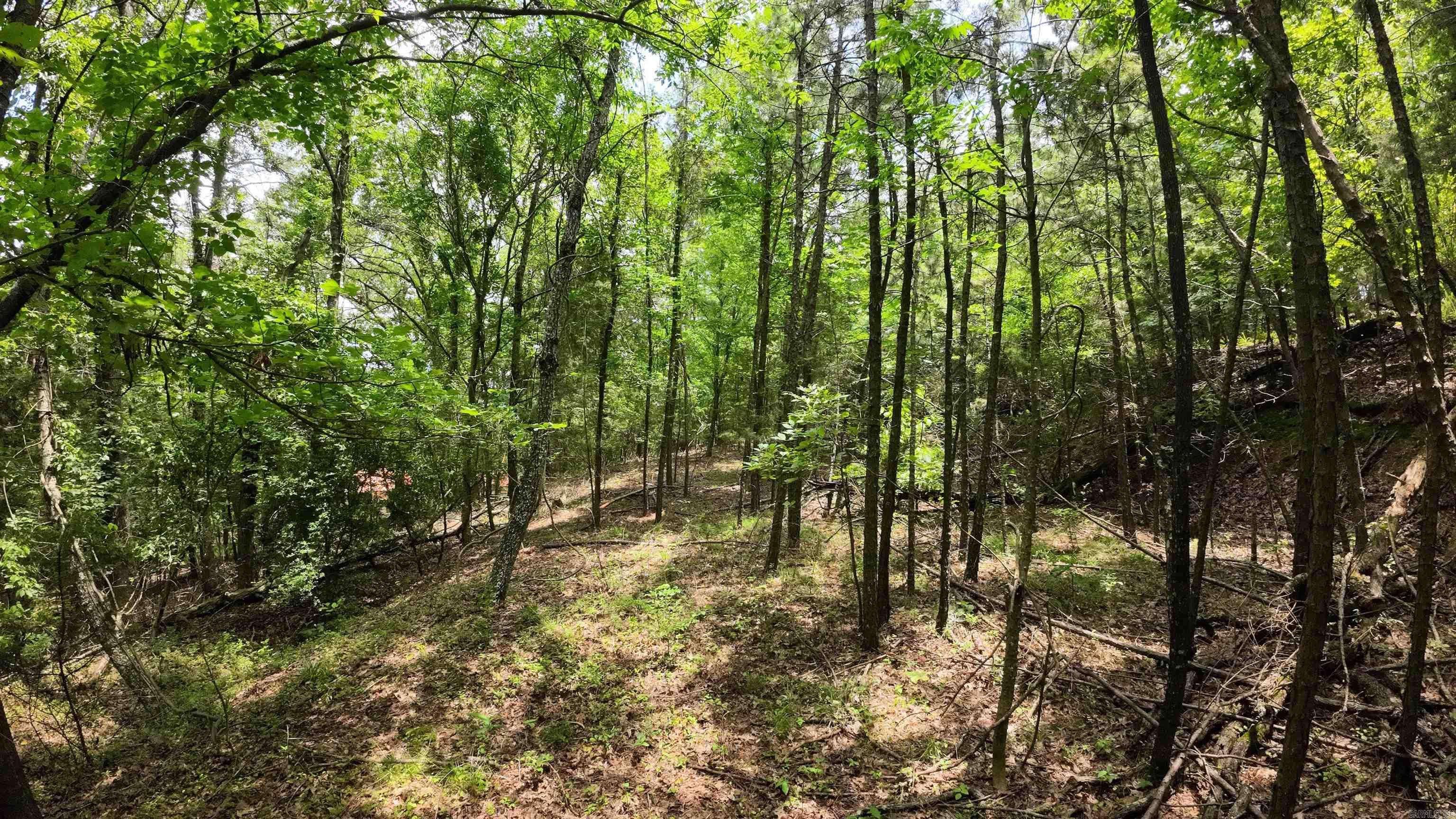 000 Long Gum  Russellville, AR