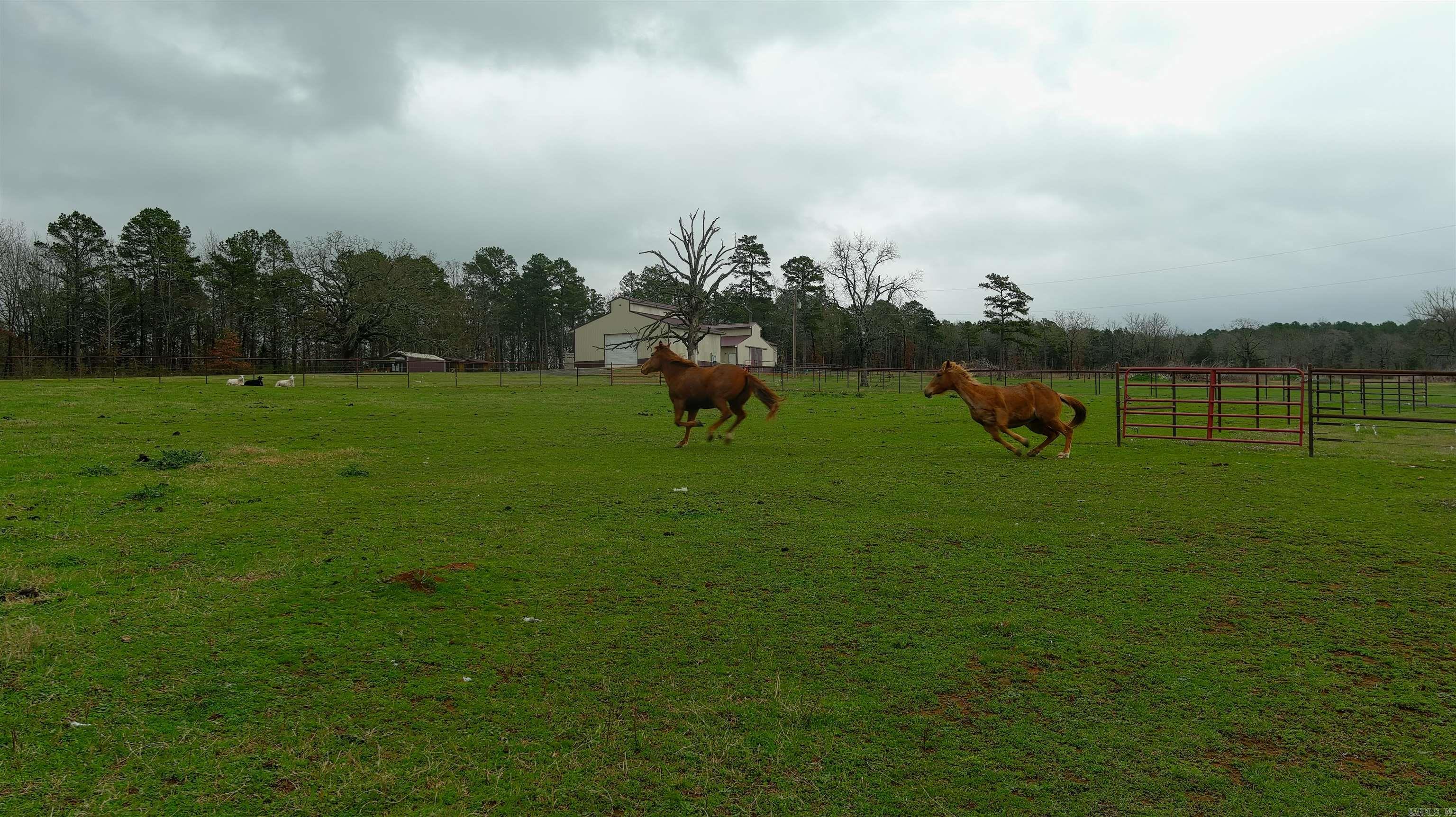 15350 Bailey Branch Road  Danville, AR