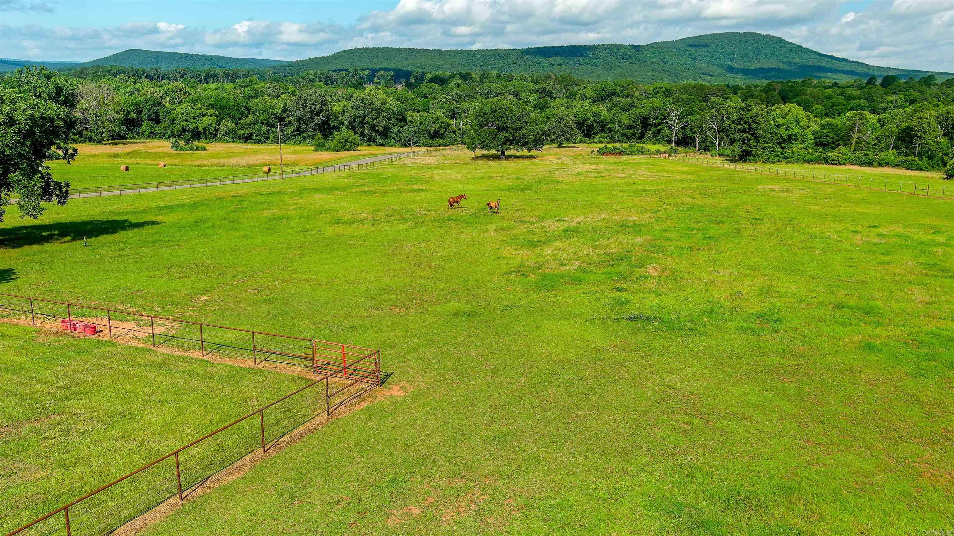 15350 Bailey Branch Road  Danville, AR