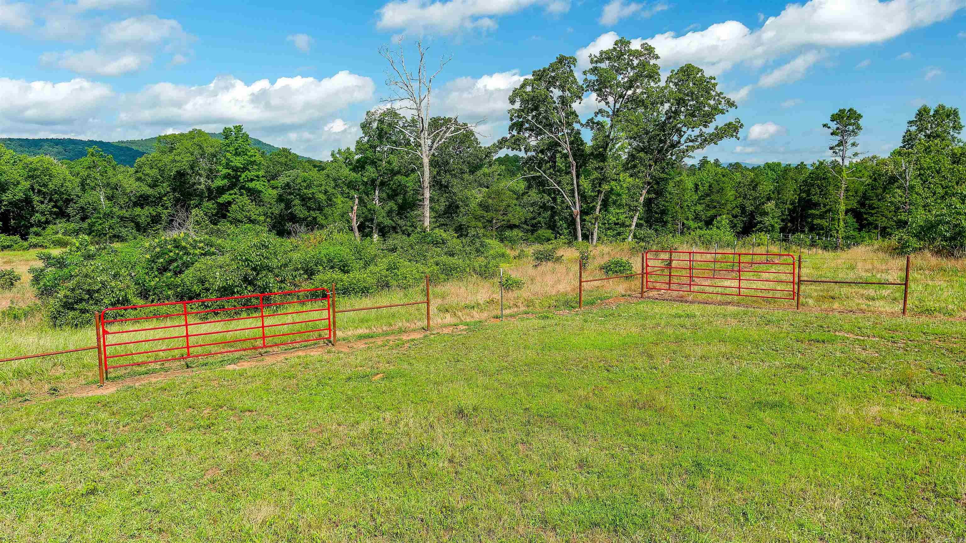15350 Bailey Branch Road  Danville, AR