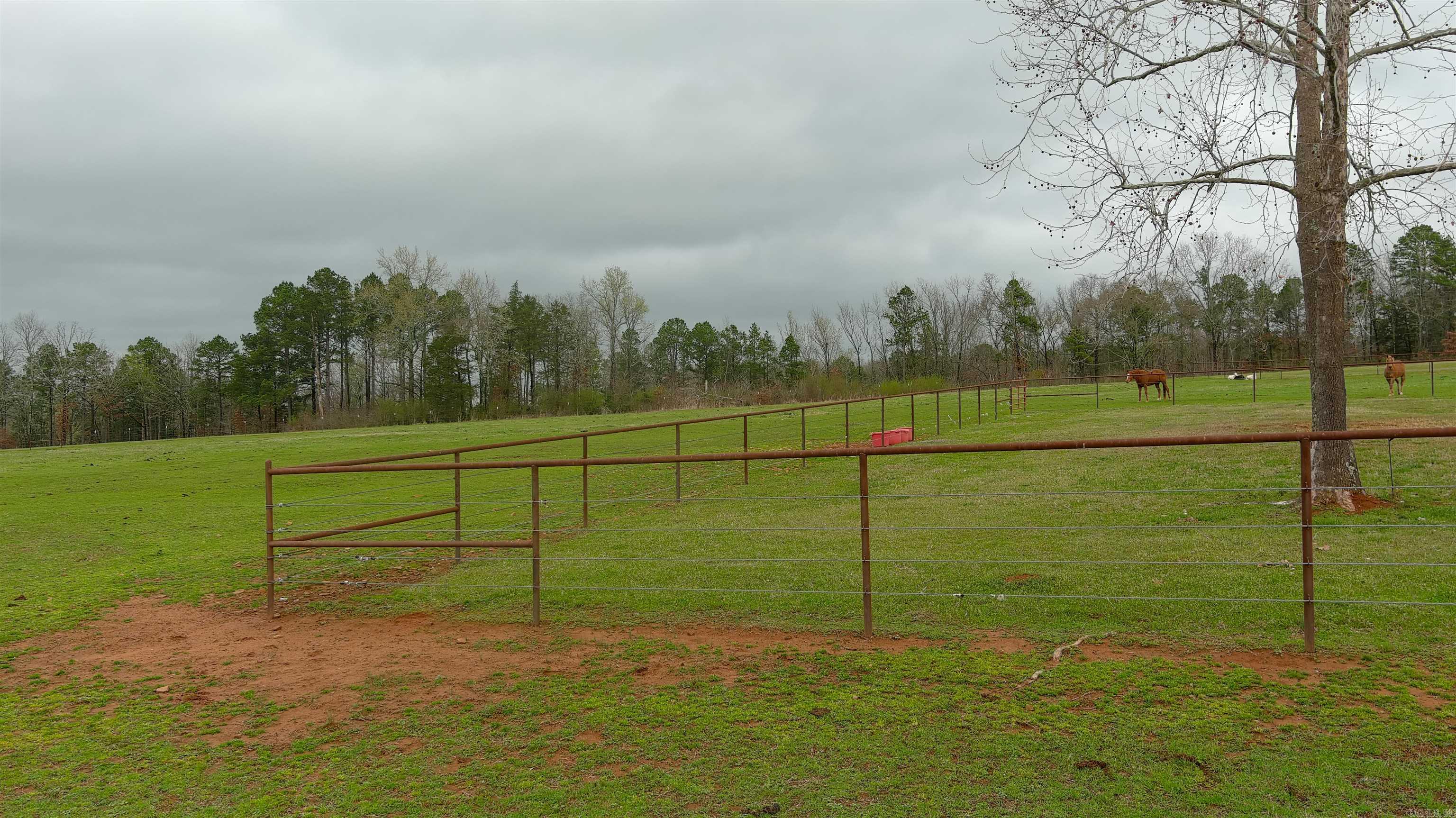 15350 Bailey Branch Road  Danville, AR