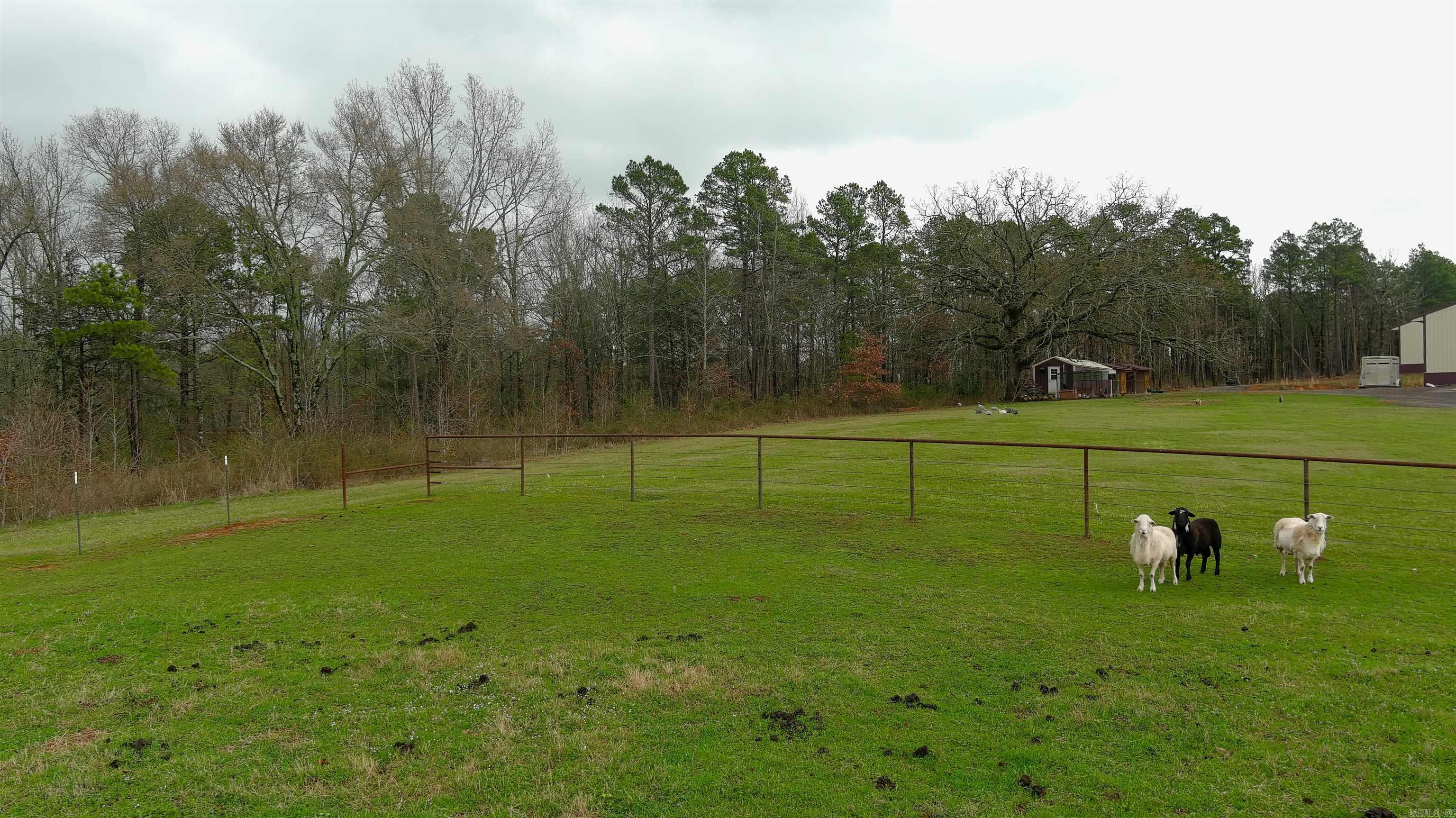 15350 Bailey Branch Road  Danville, AR