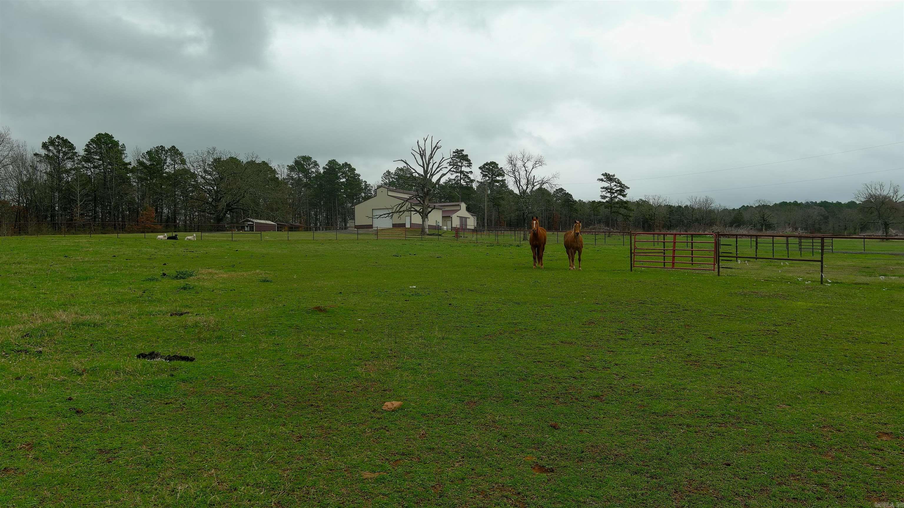 15350 Bailey Branch Road  Danville, AR