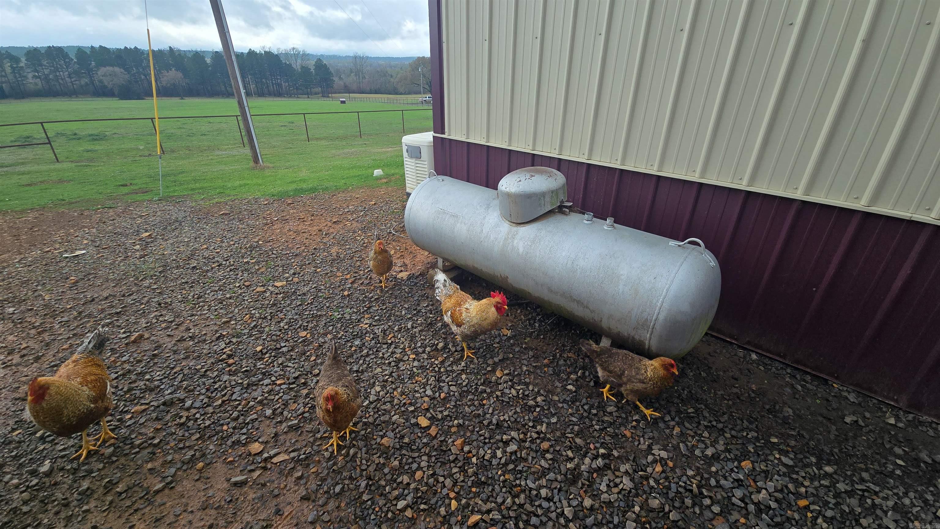 15350 Bailey Branch Road  Danville, AR