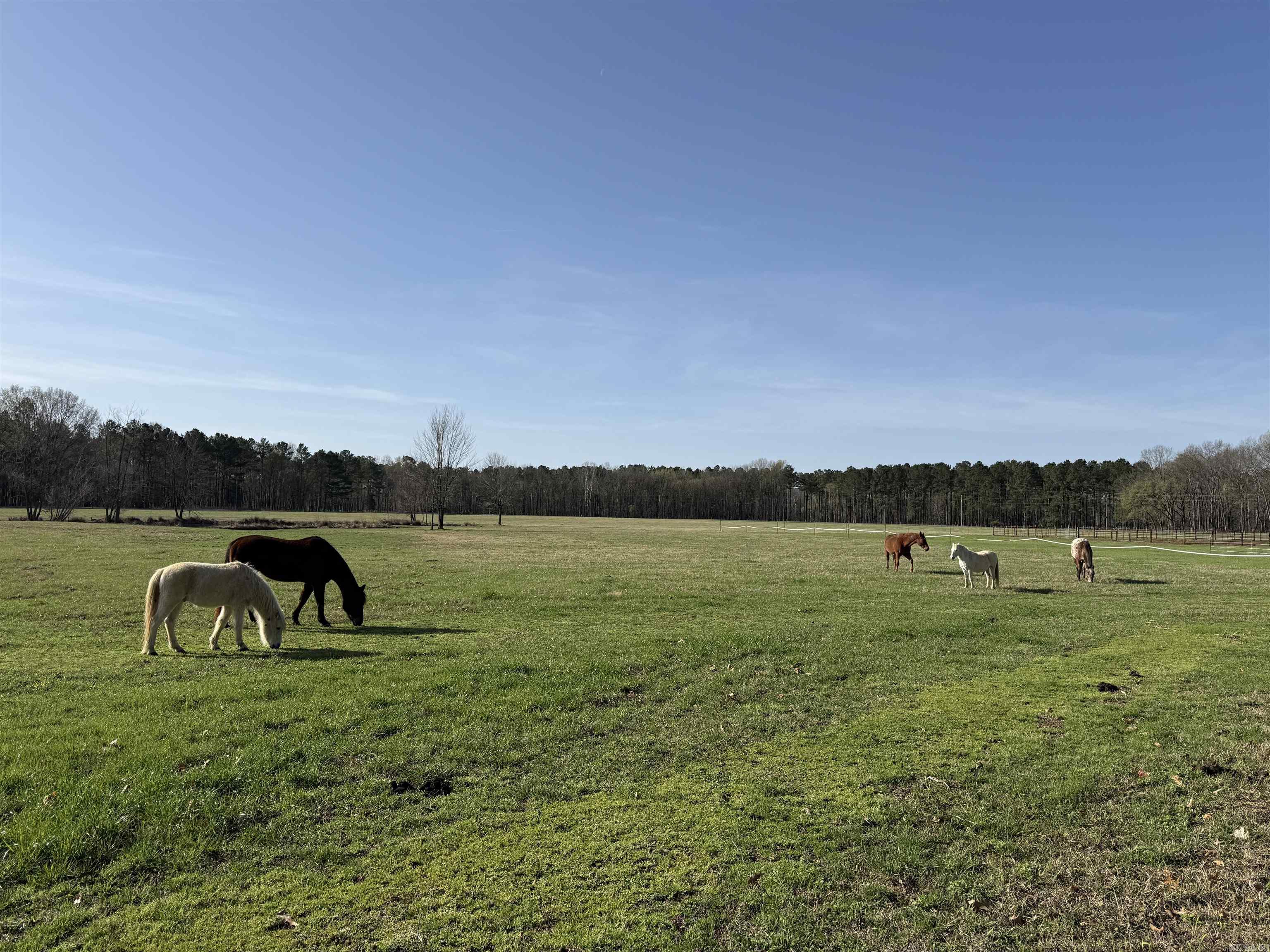 000 Sunshine Ln.  Pangburn, AR