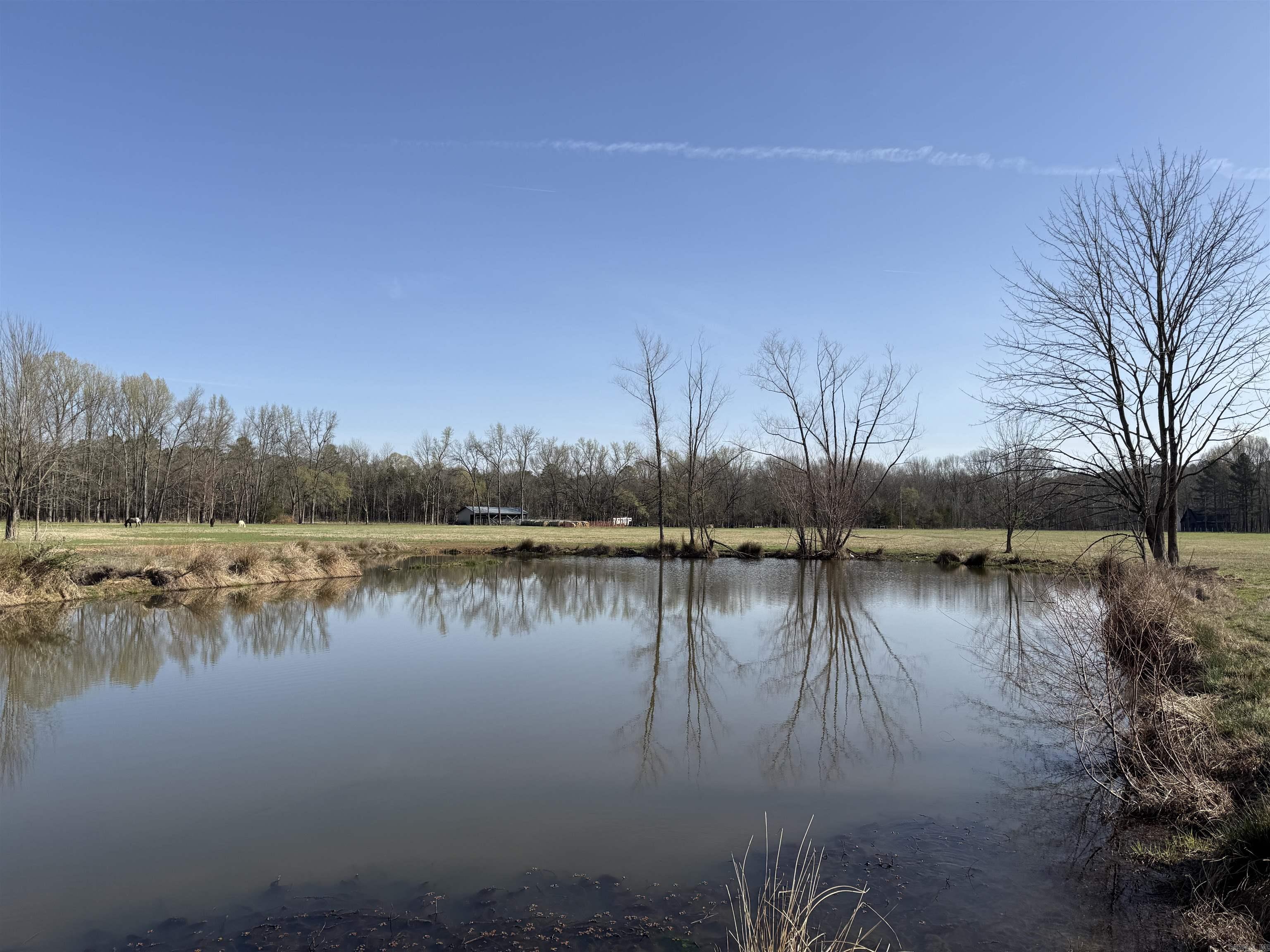 000 Sunshine Ln.  Pangburn, AR