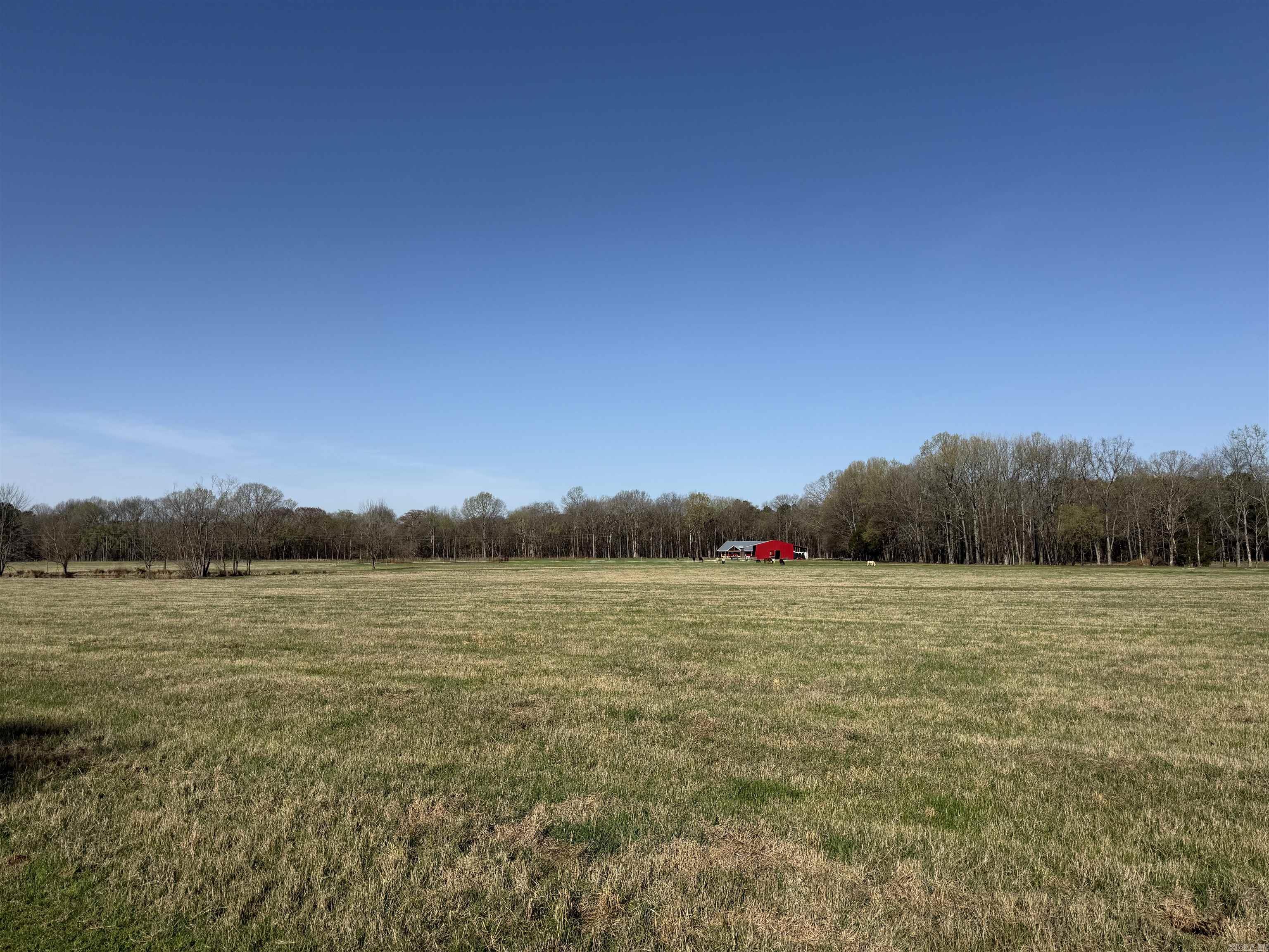 000 Sunshine Ln.  Pangburn, AR