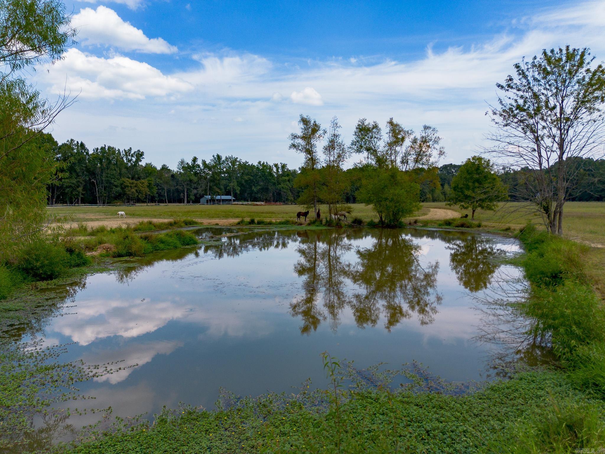 000 Sunshine Ln.  Pangburn, AR