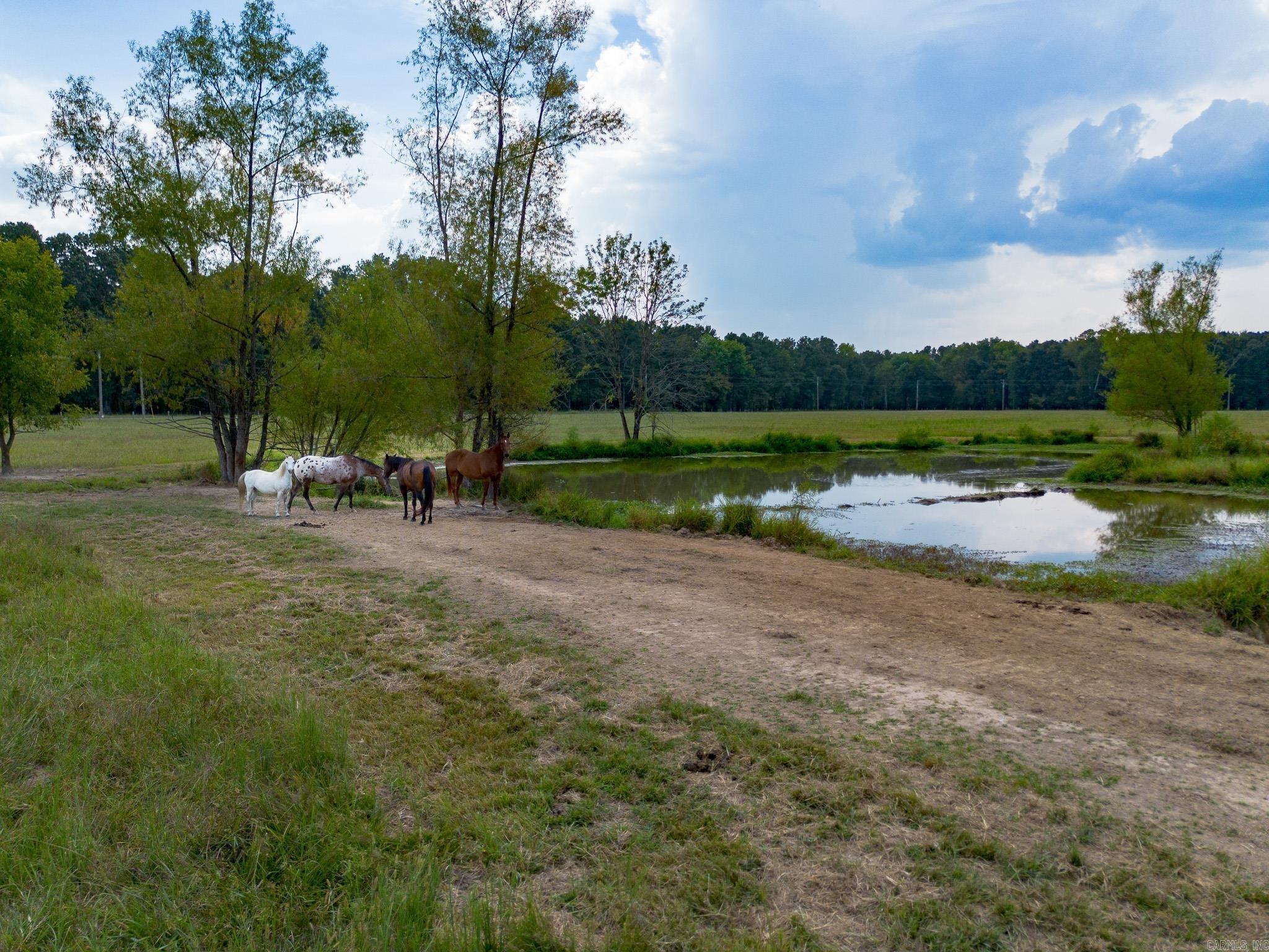 000 Sunshine Ln.  Pangburn, AR