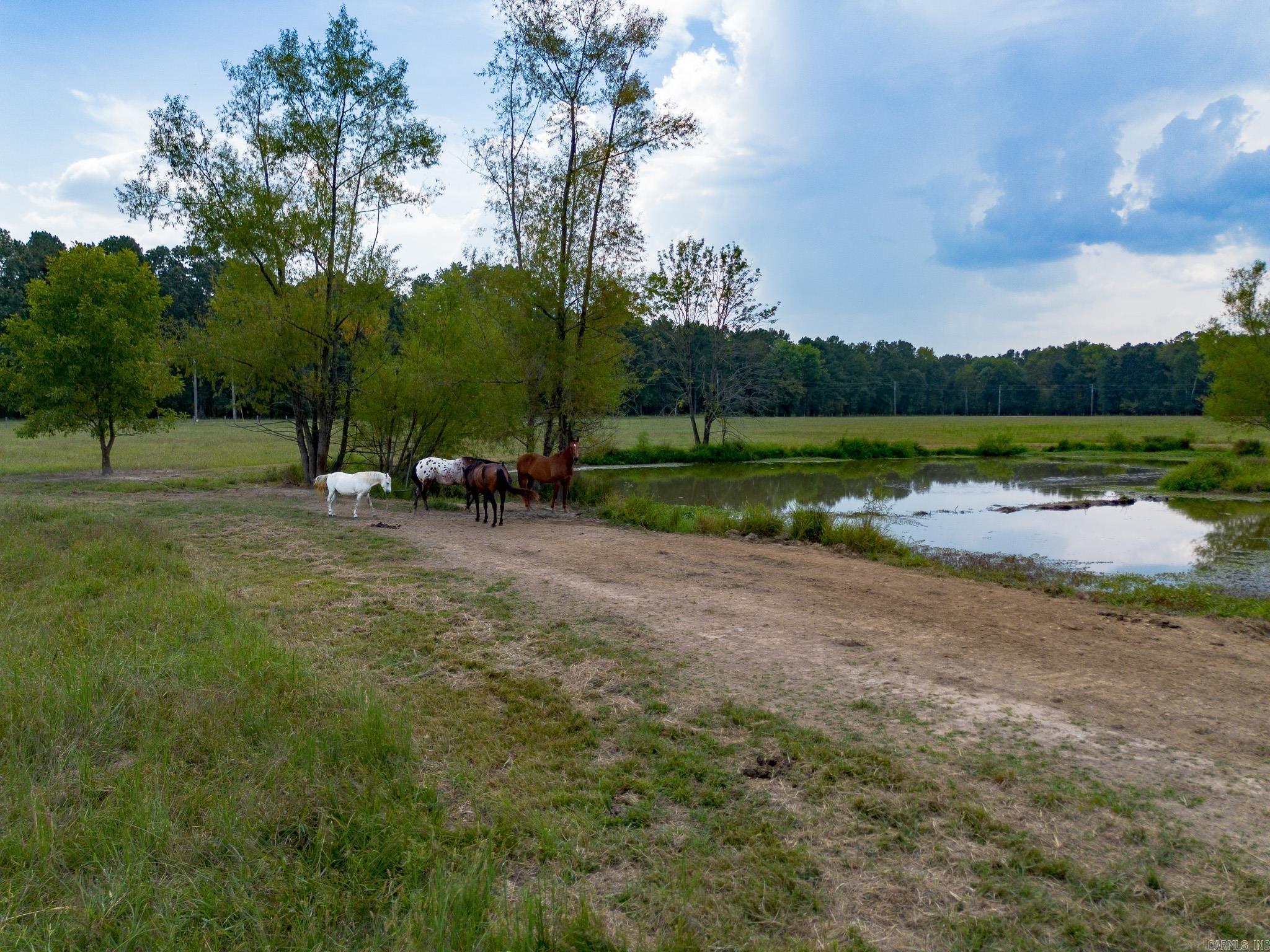 000 Sunshine Ln.  Pangburn, AR