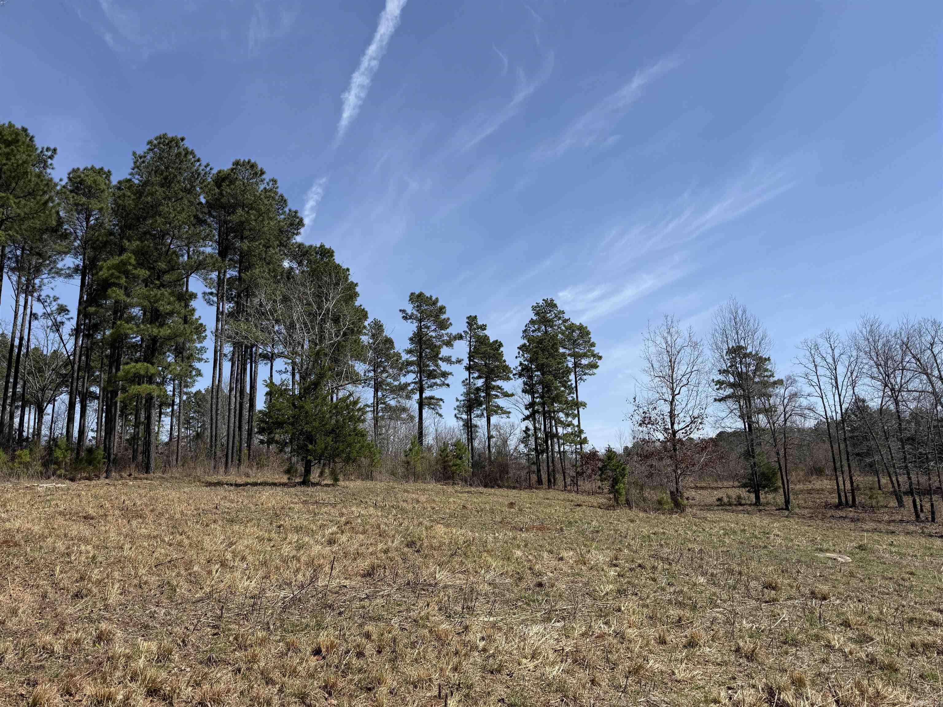 000 Bill Leach Rd.  Floyd, AR