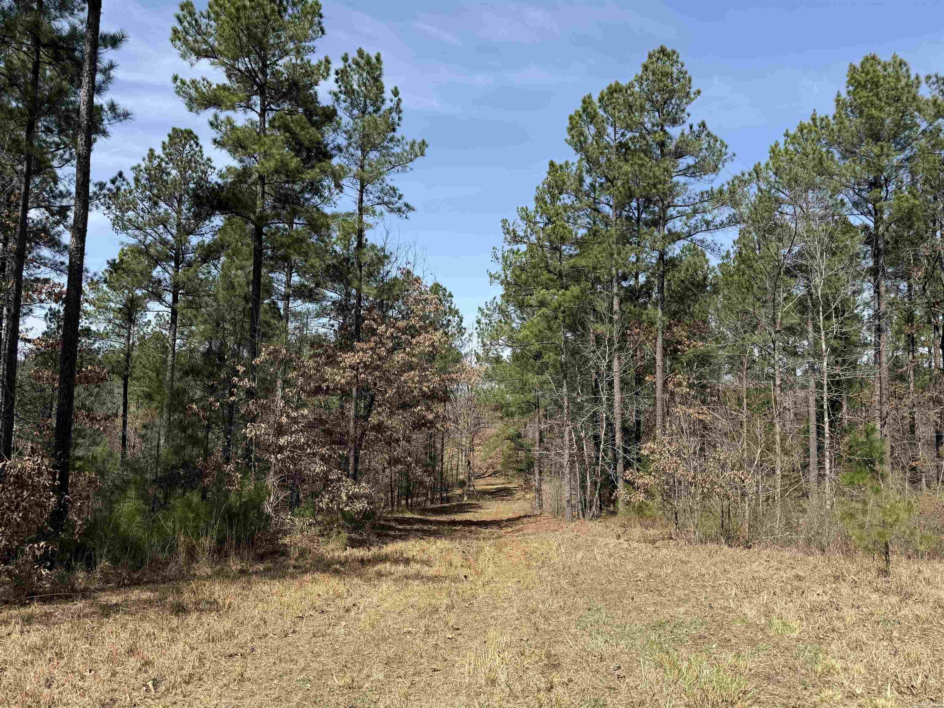 000 Bill Leach Rd.  Floyd, AR