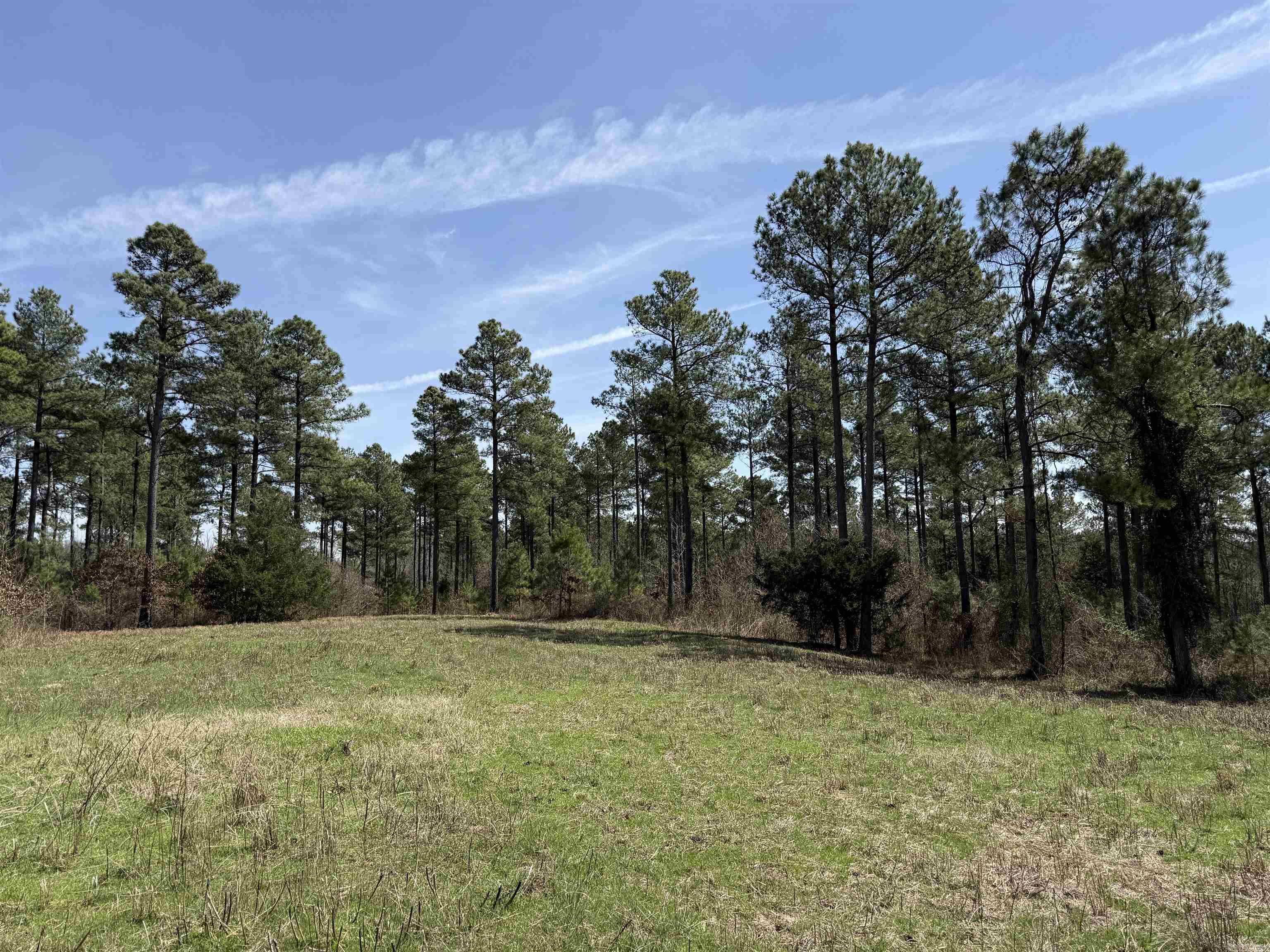 000 Bill Leach Rd.  Floyd, AR