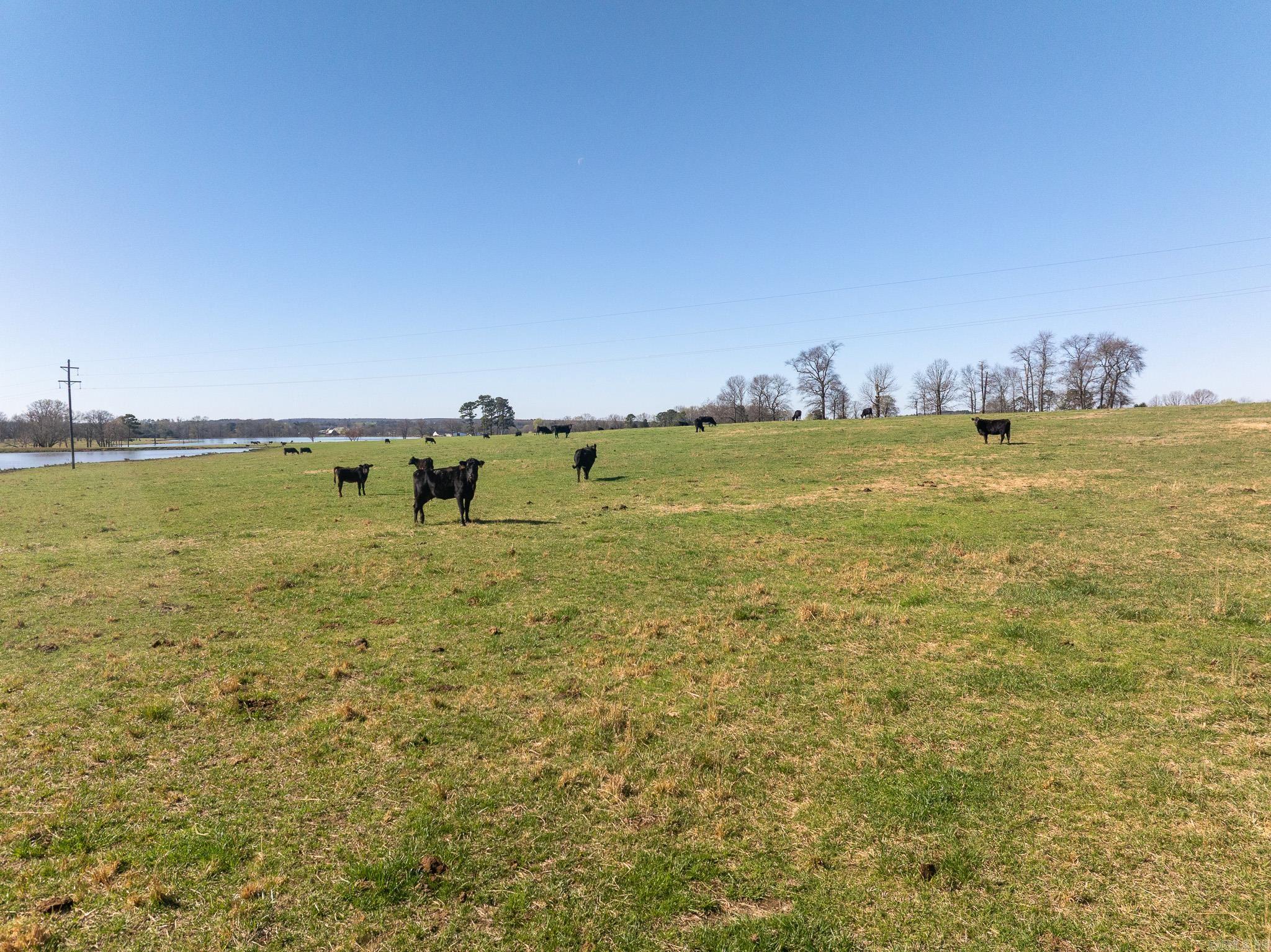 000 Turner Rd.  Rose Bud, AR