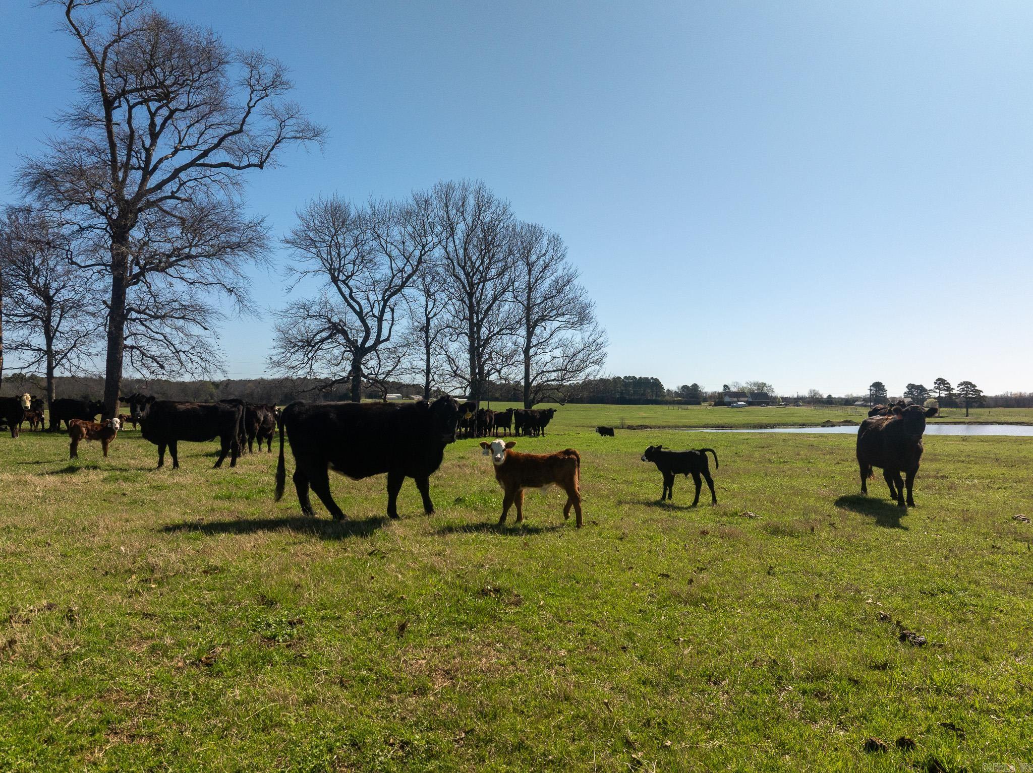 000 Turner Rd.  Rose Bud, AR