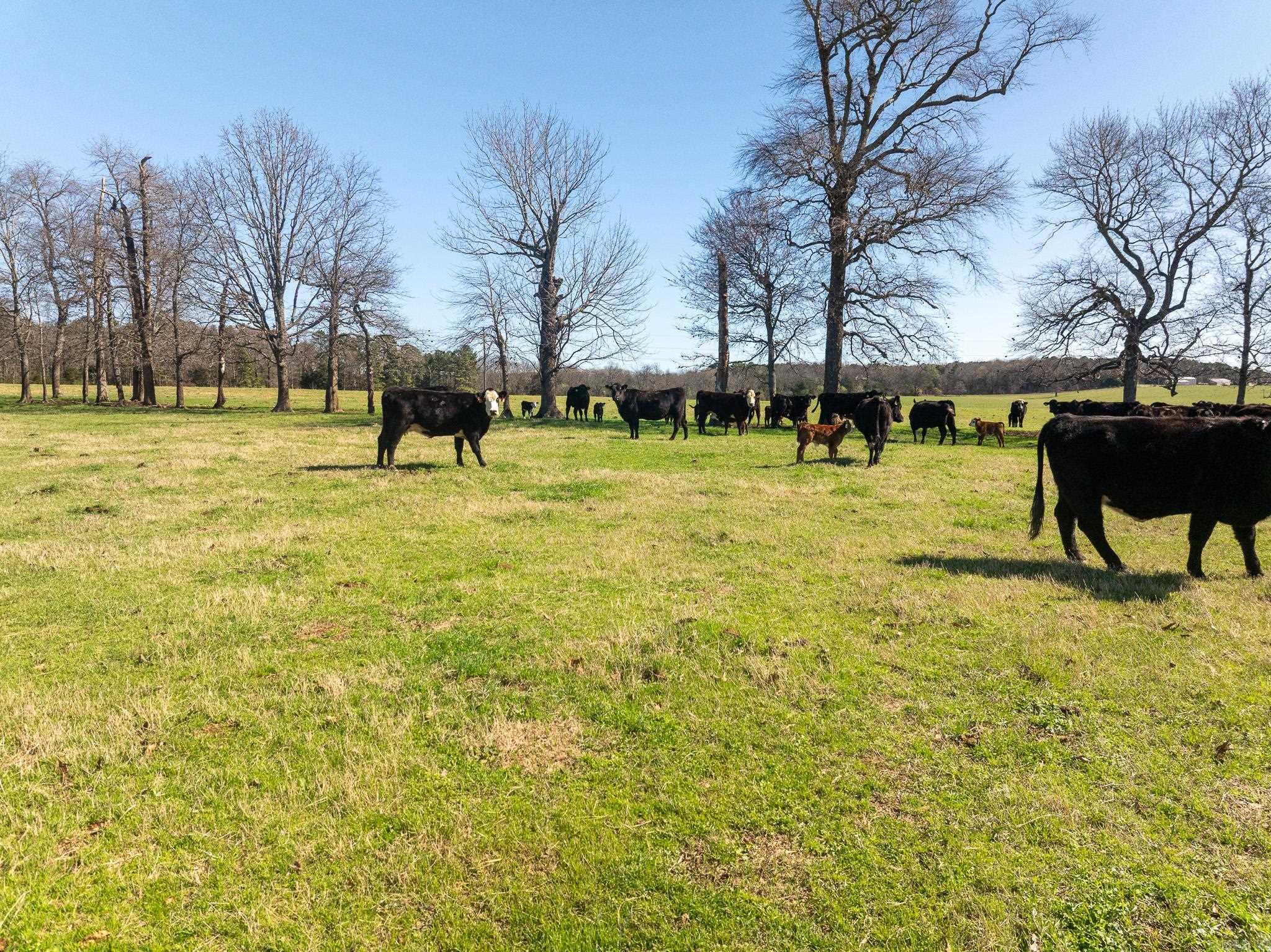 000 Turner Rd.  Rose Bud, AR