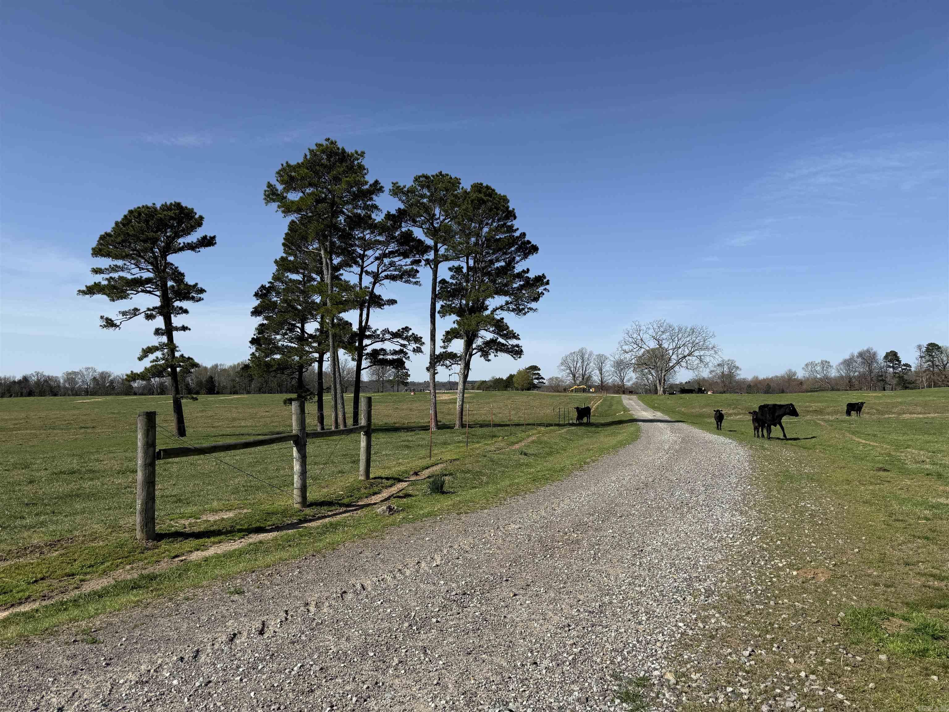 000 Turner Rd.  Rose Bud, AR