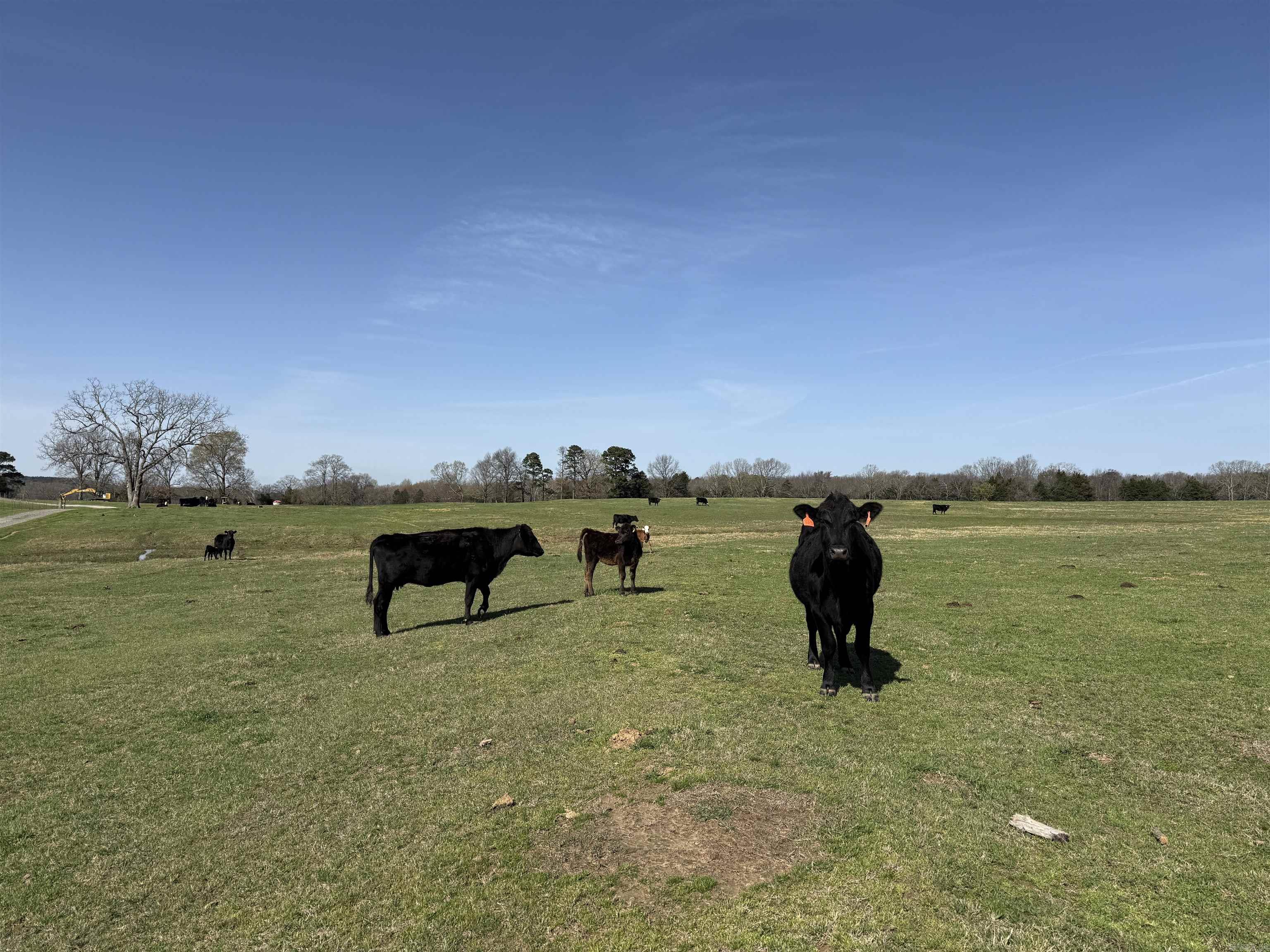 000 Turner Rd.  Rose Bud, AR