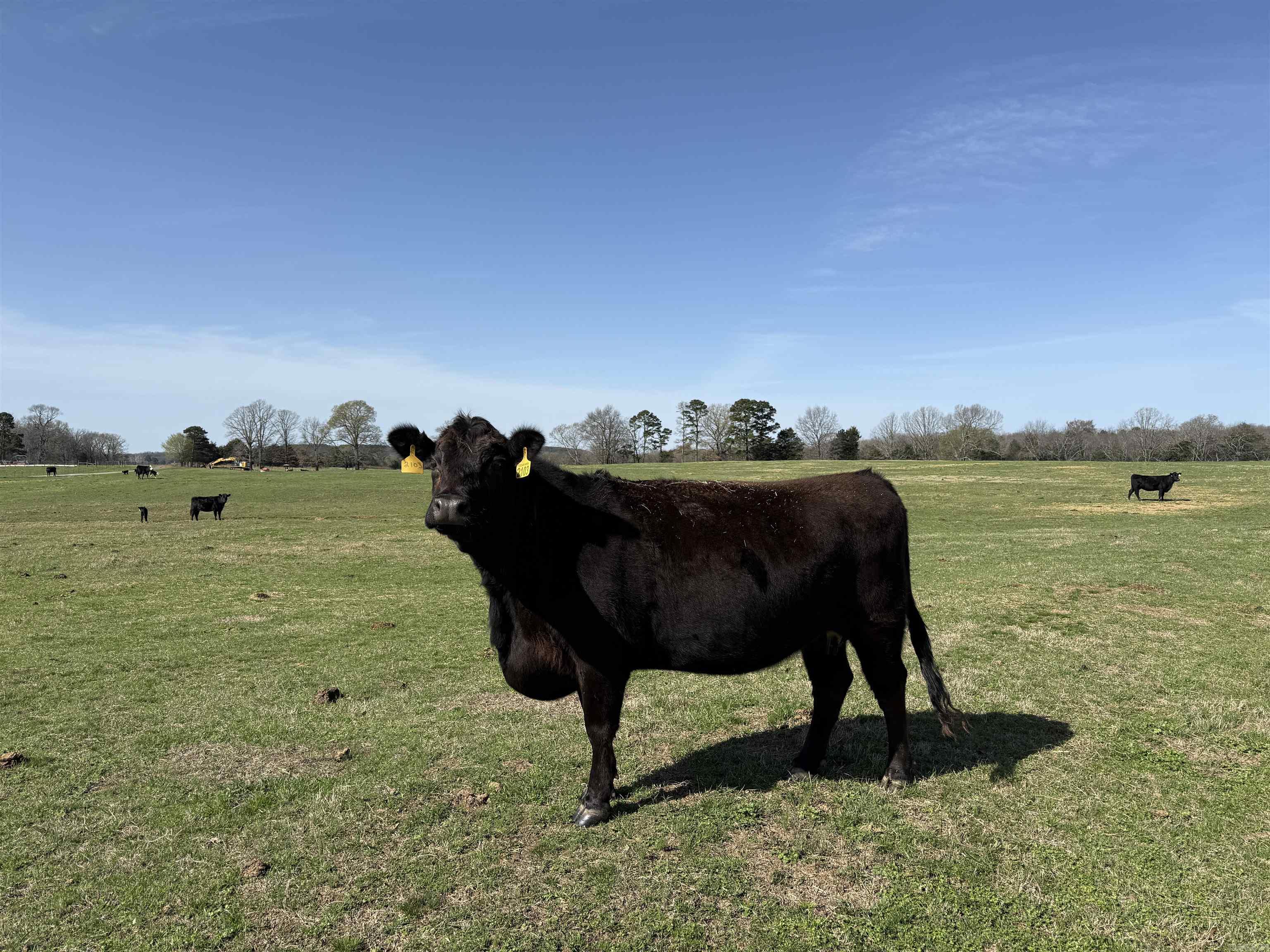 000 Turner Rd.  Rose Bud, AR