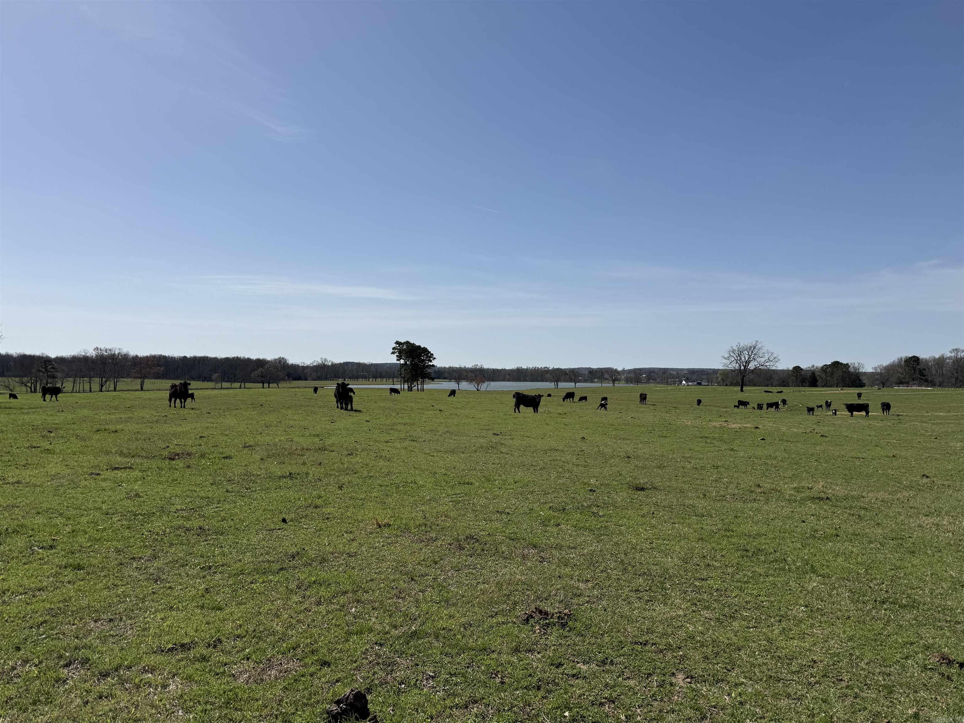 000 Turner Rd.  Rose Bud, AR