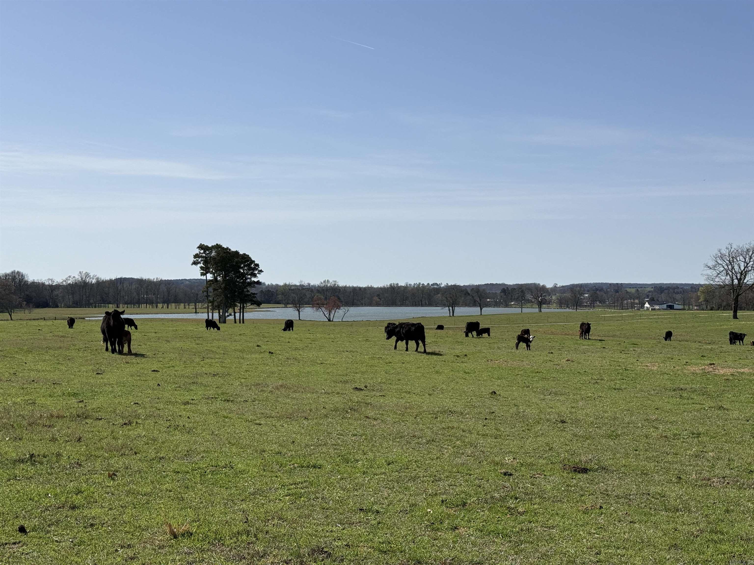 000 Turner Rd.  Rose Bud, AR