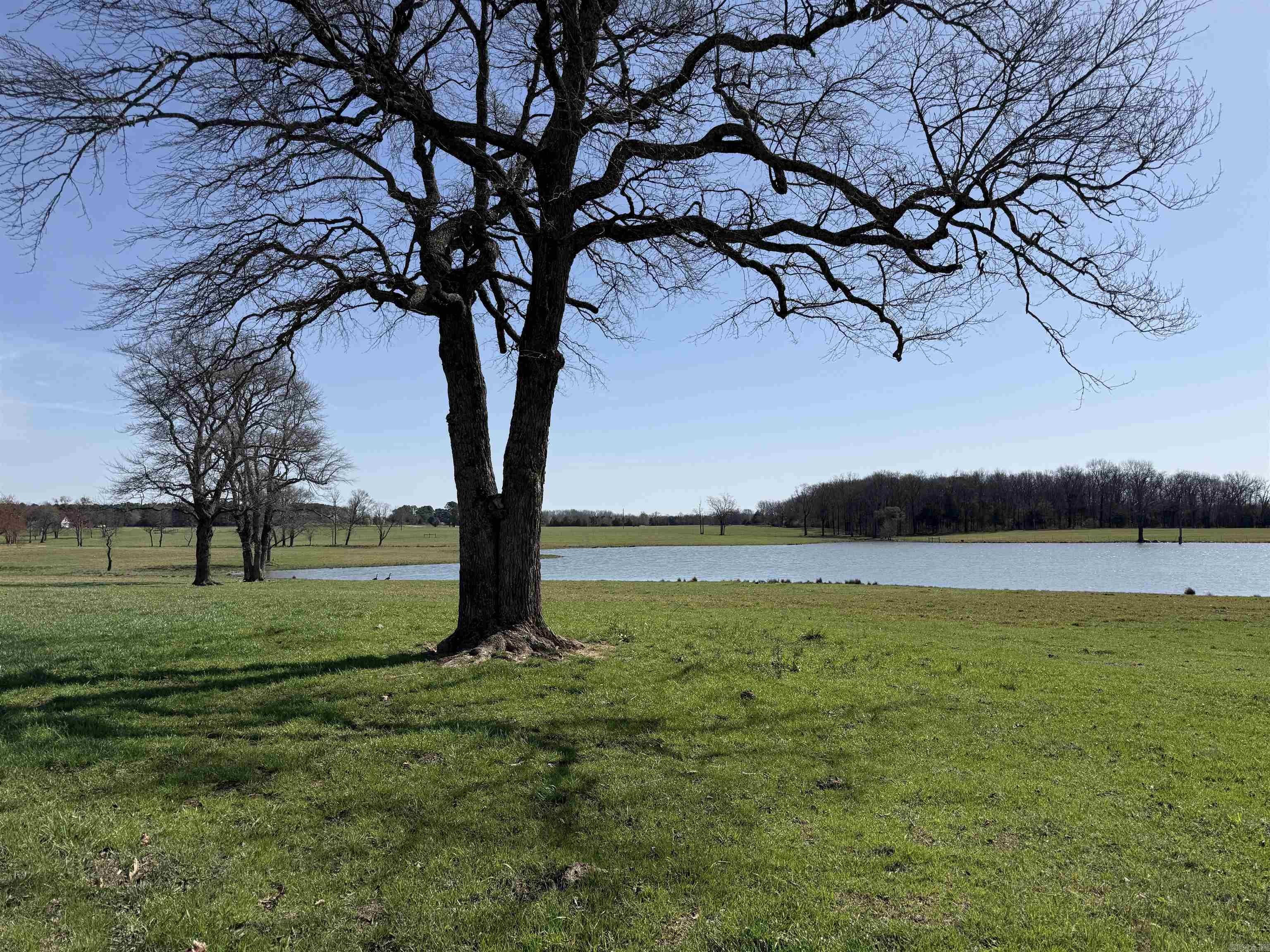 000 Turner Rd.  Rose Bud, AR