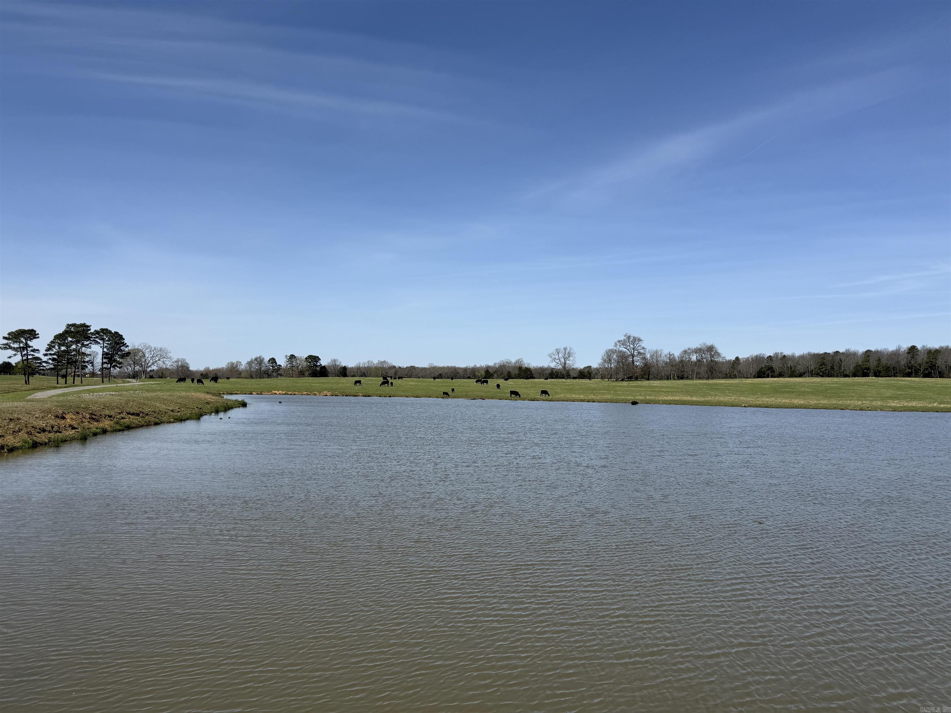 000 Turner Rd.  Rose Bud, AR