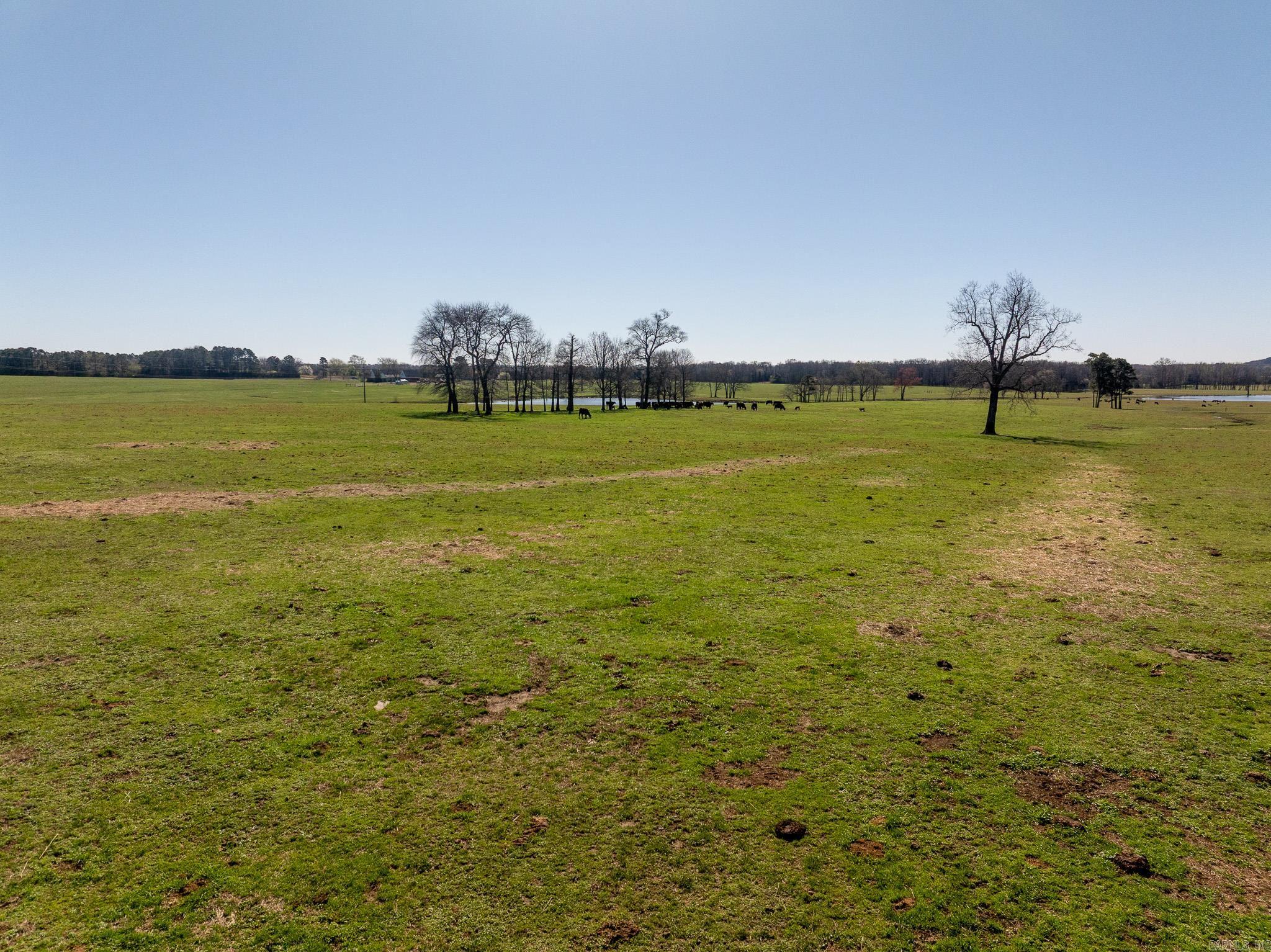 000 Turner Rd.  Rose Bud, AR