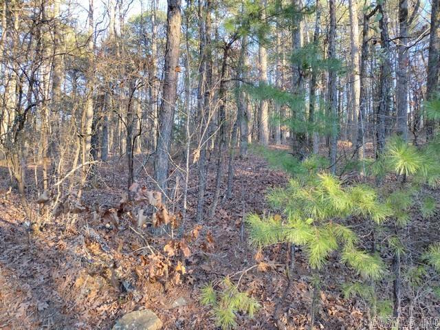 57 & 59 Murcia  Hot Springs Village, AR