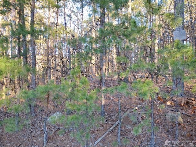 57 & 59 Murcia  Hot Springs Village, AR