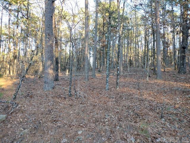 57 & 59 Murcia  Hot Springs Village, AR