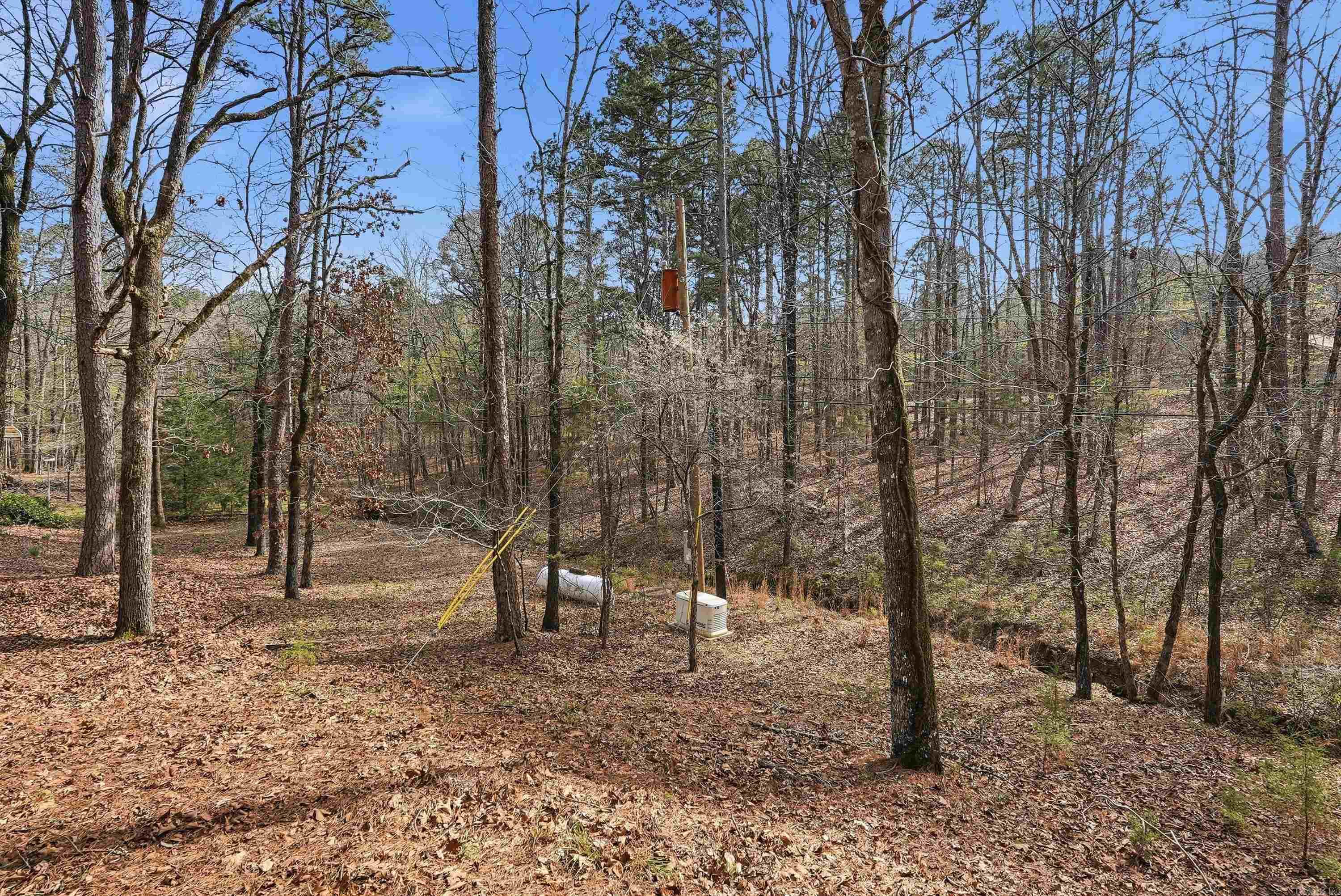 110 Cliff  Fairfield Bay, AR