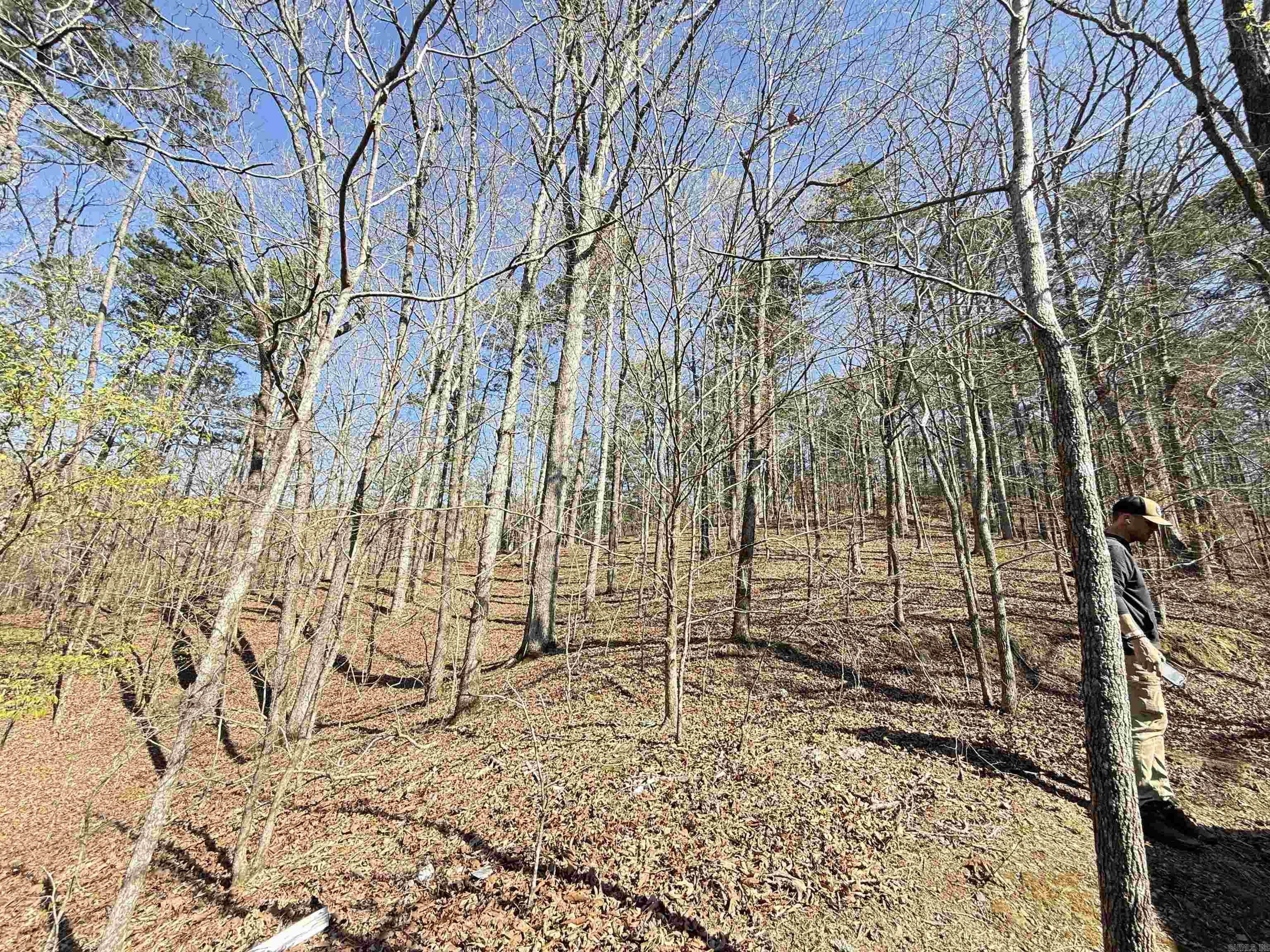 100 Acres Jones Valley  Caddo Gap, AR