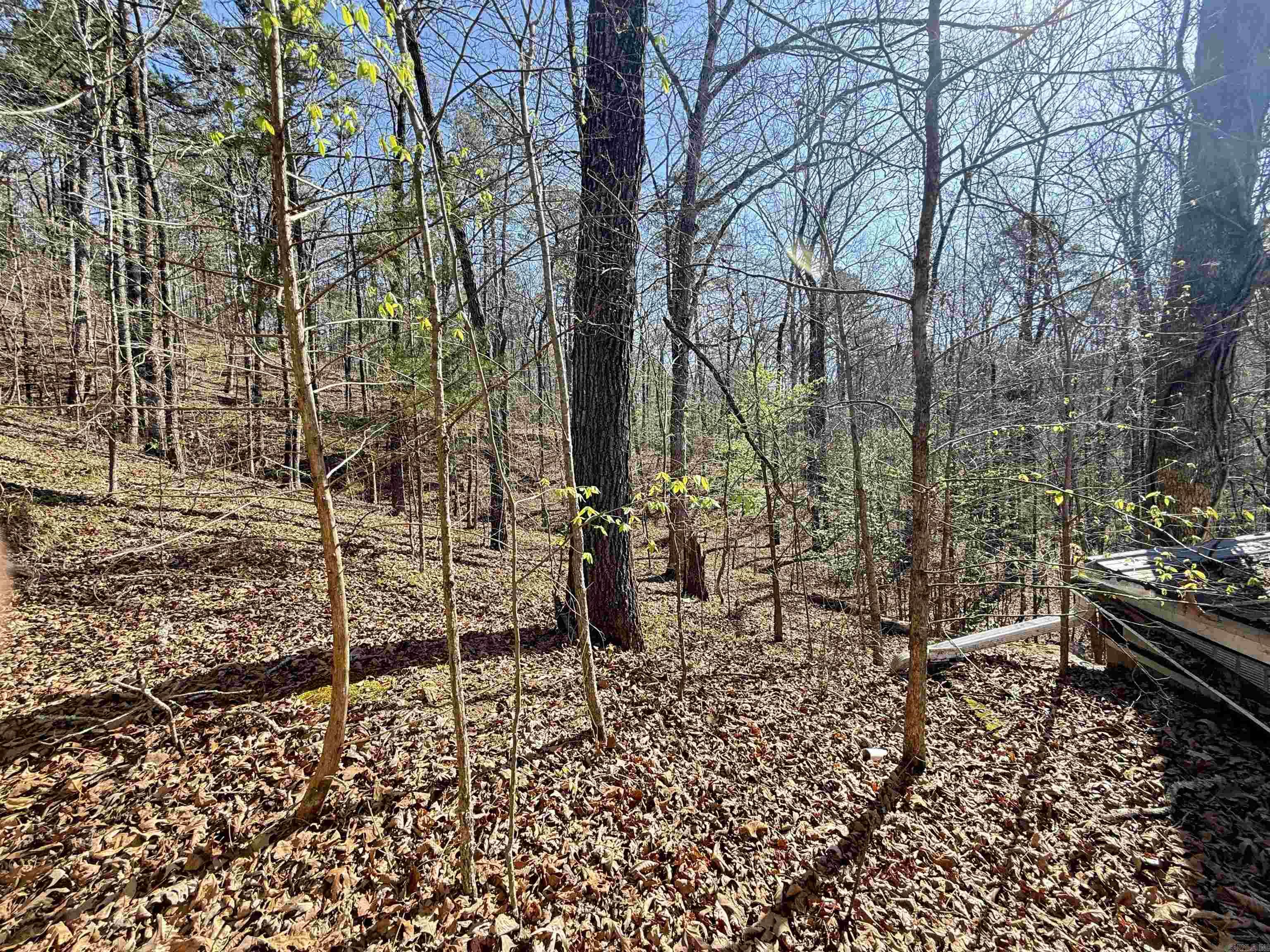 100 Acres Jones Valley  Caddo Gap, AR