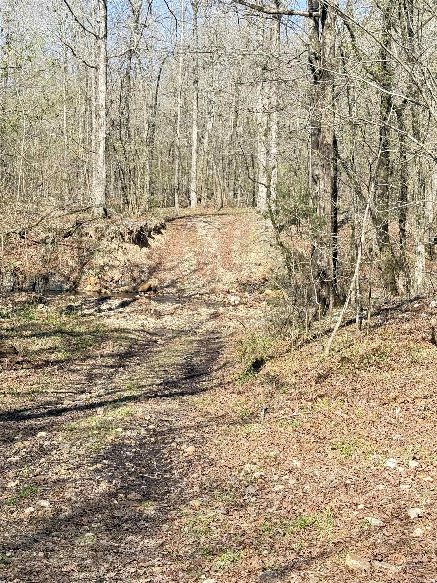 100 Acres Jones Valley  Caddo Gap, AR