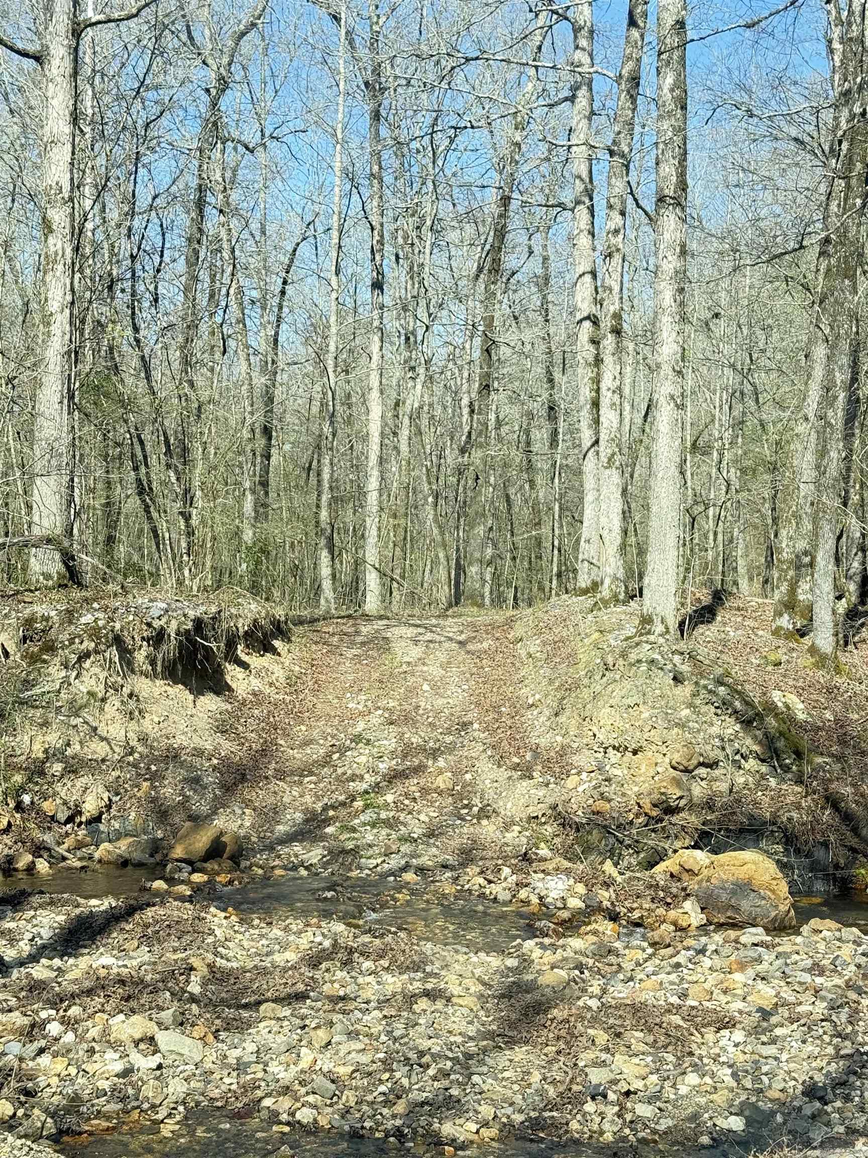 100 Acres Jones Valley  Caddo Gap, AR