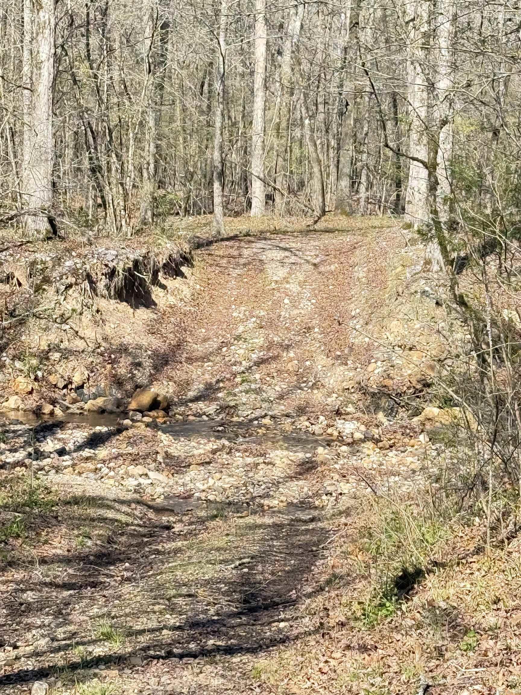 100 Acres Jones Valley  Caddo Gap, AR