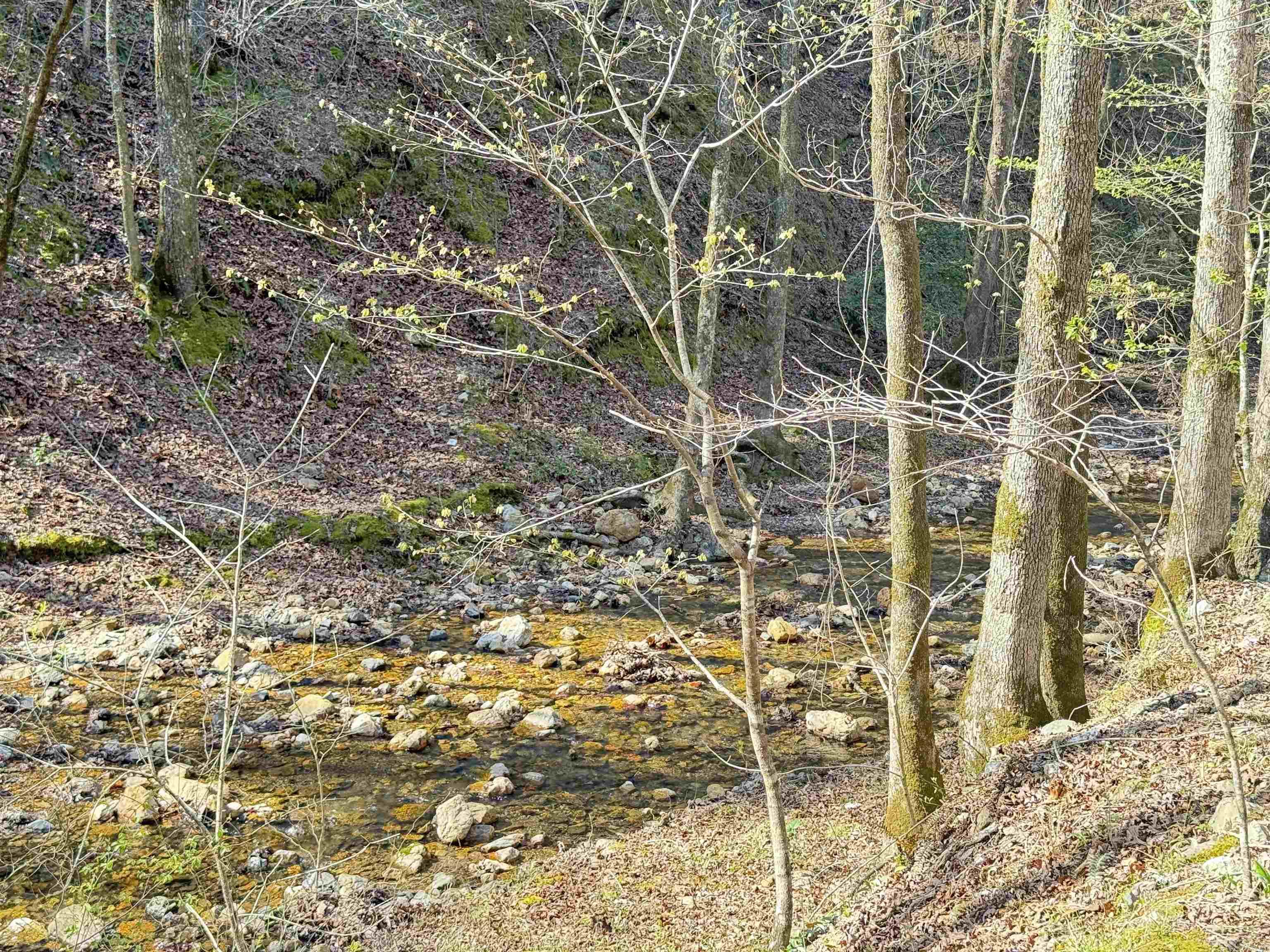 100 Acres Jones Valley  Caddo Gap, AR