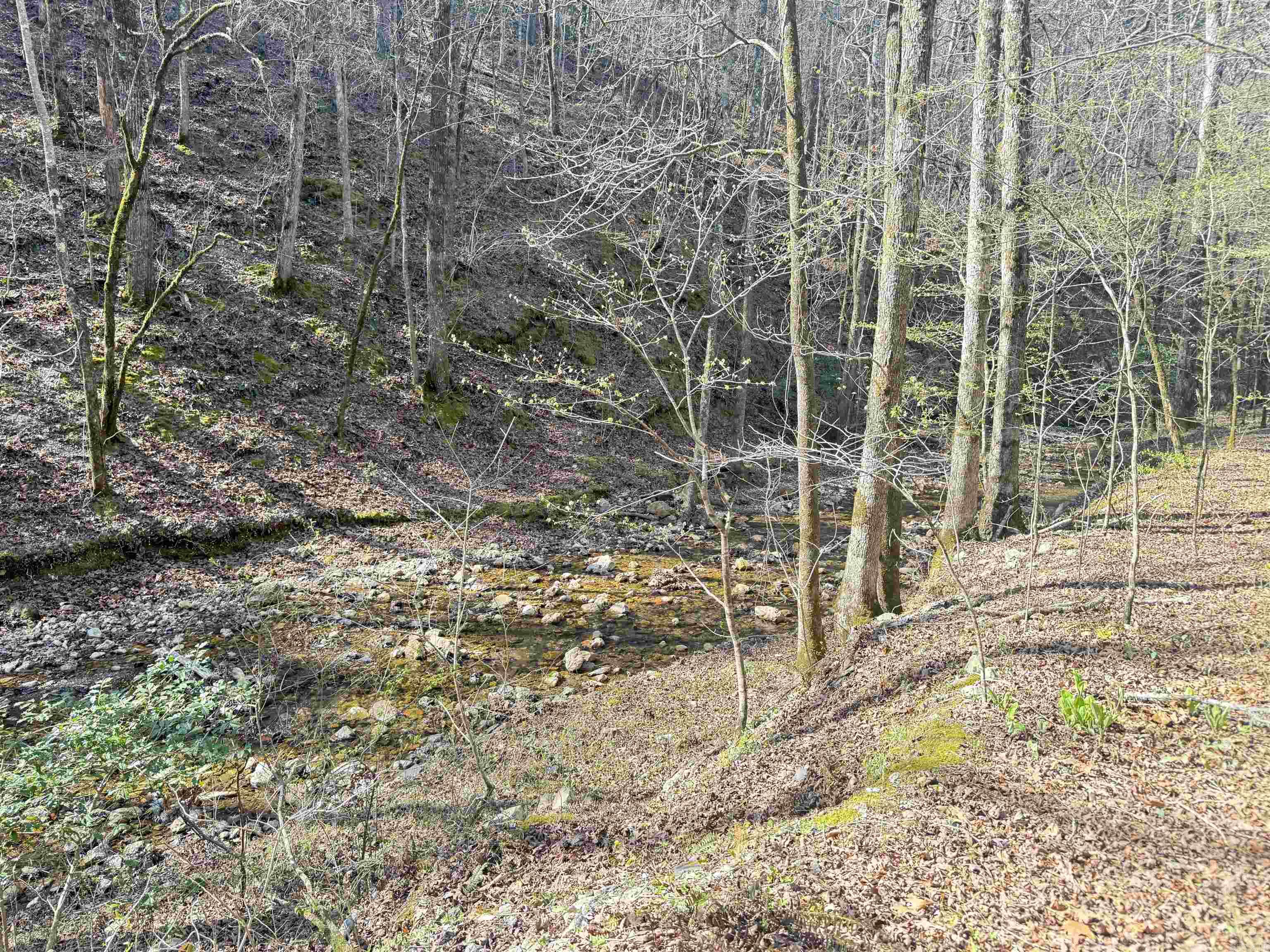 100 Acres Jones Valley  Caddo Gap, AR