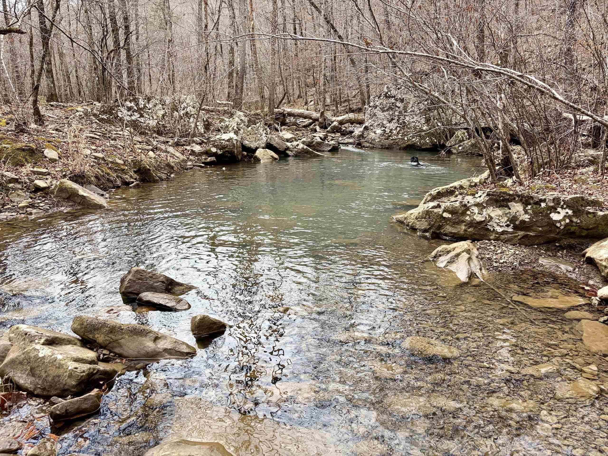 000 Watson Rd  Clinton, AR