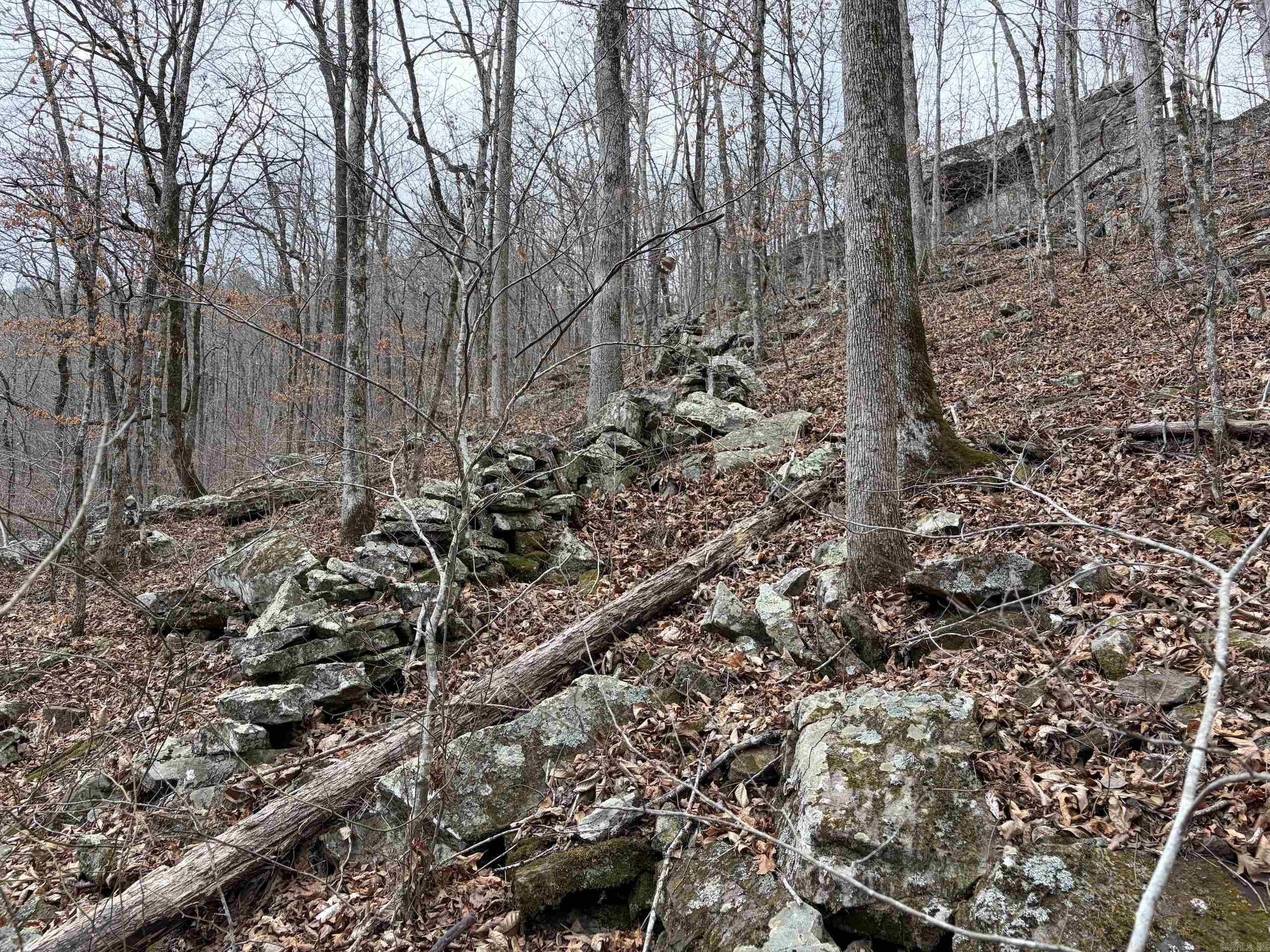 000 Watson Rd  Clinton, AR