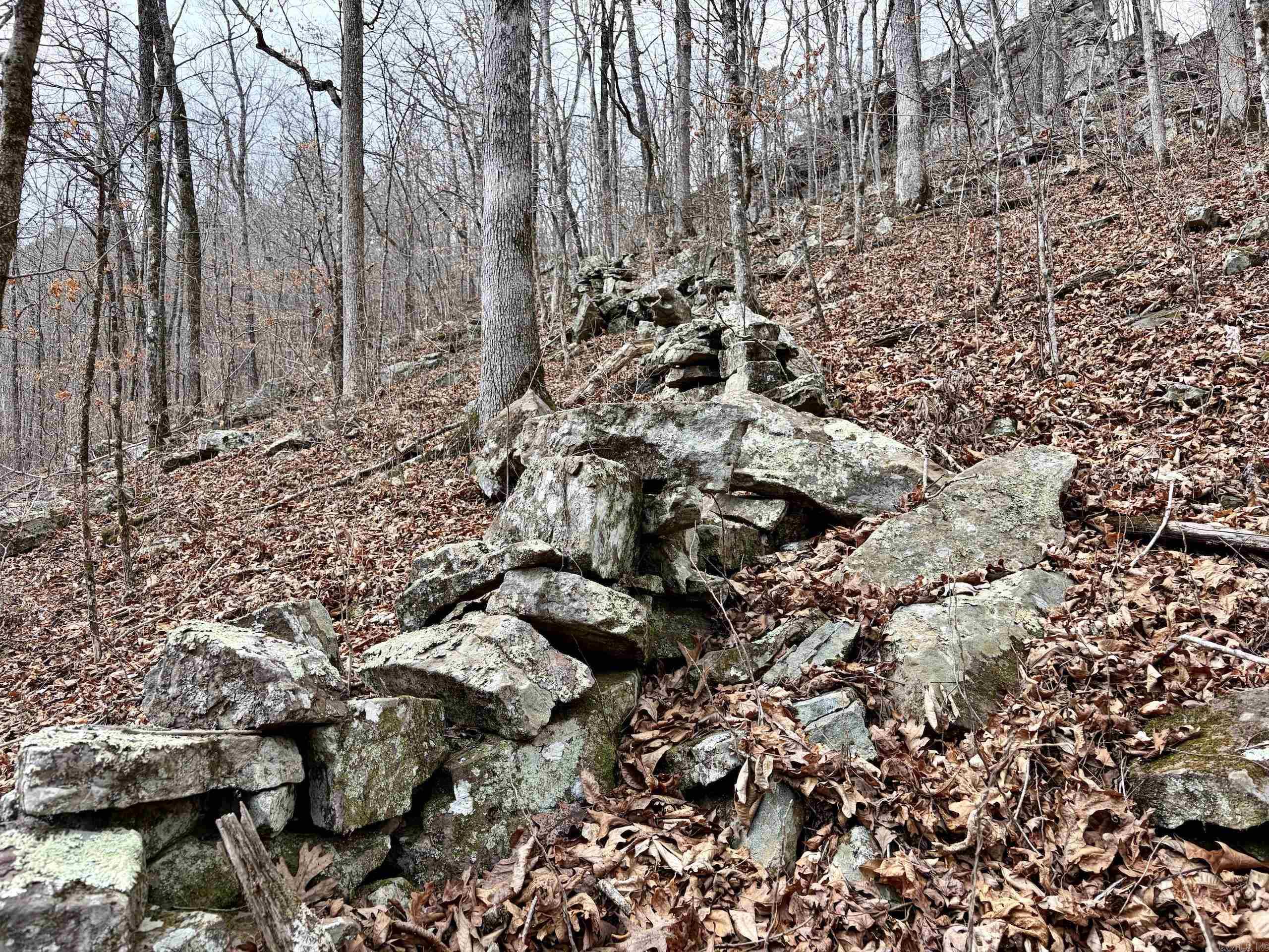 000 Watson Rd  Clinton, AR