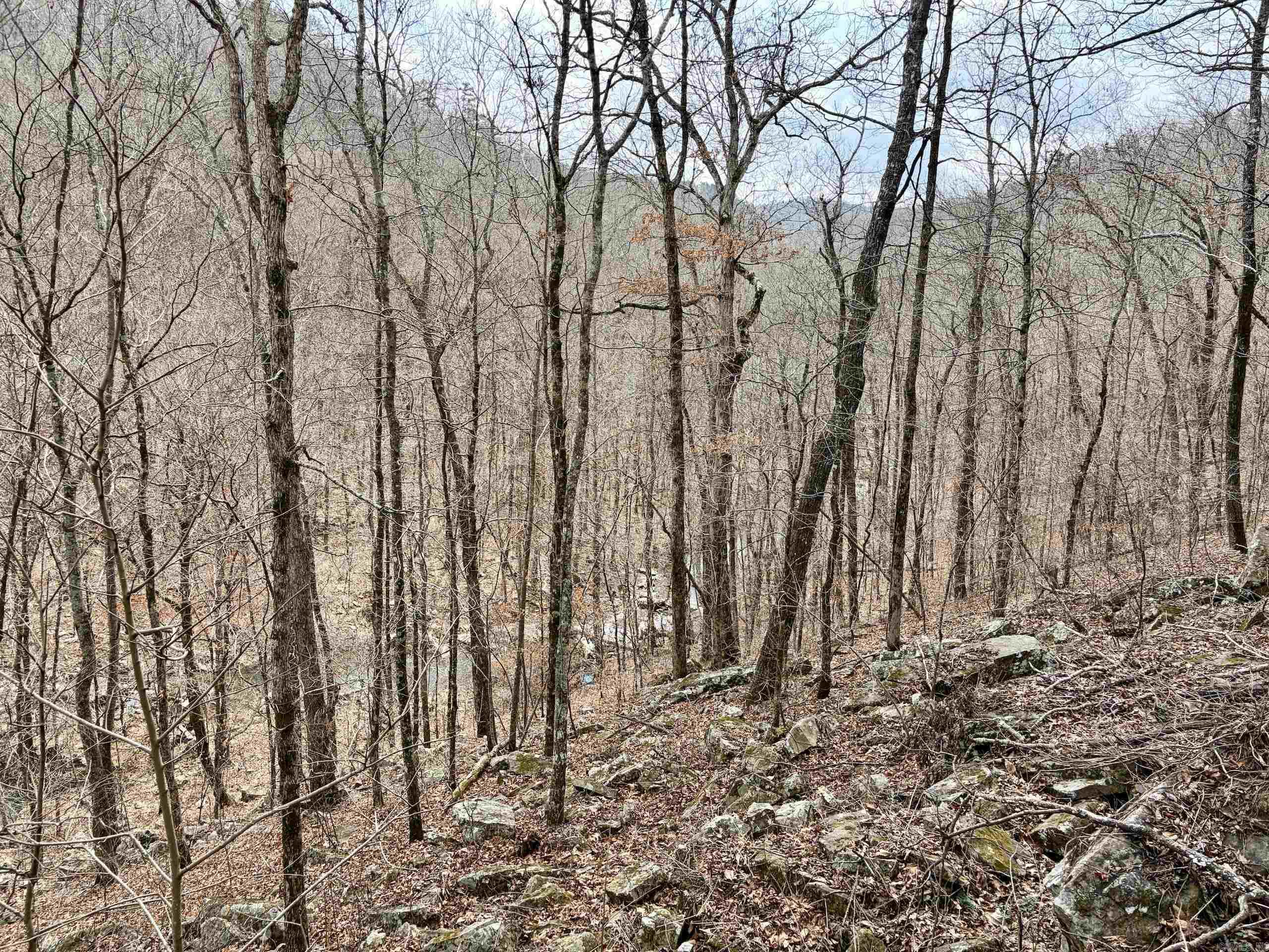 000 Watson Rd  Clinton, AR