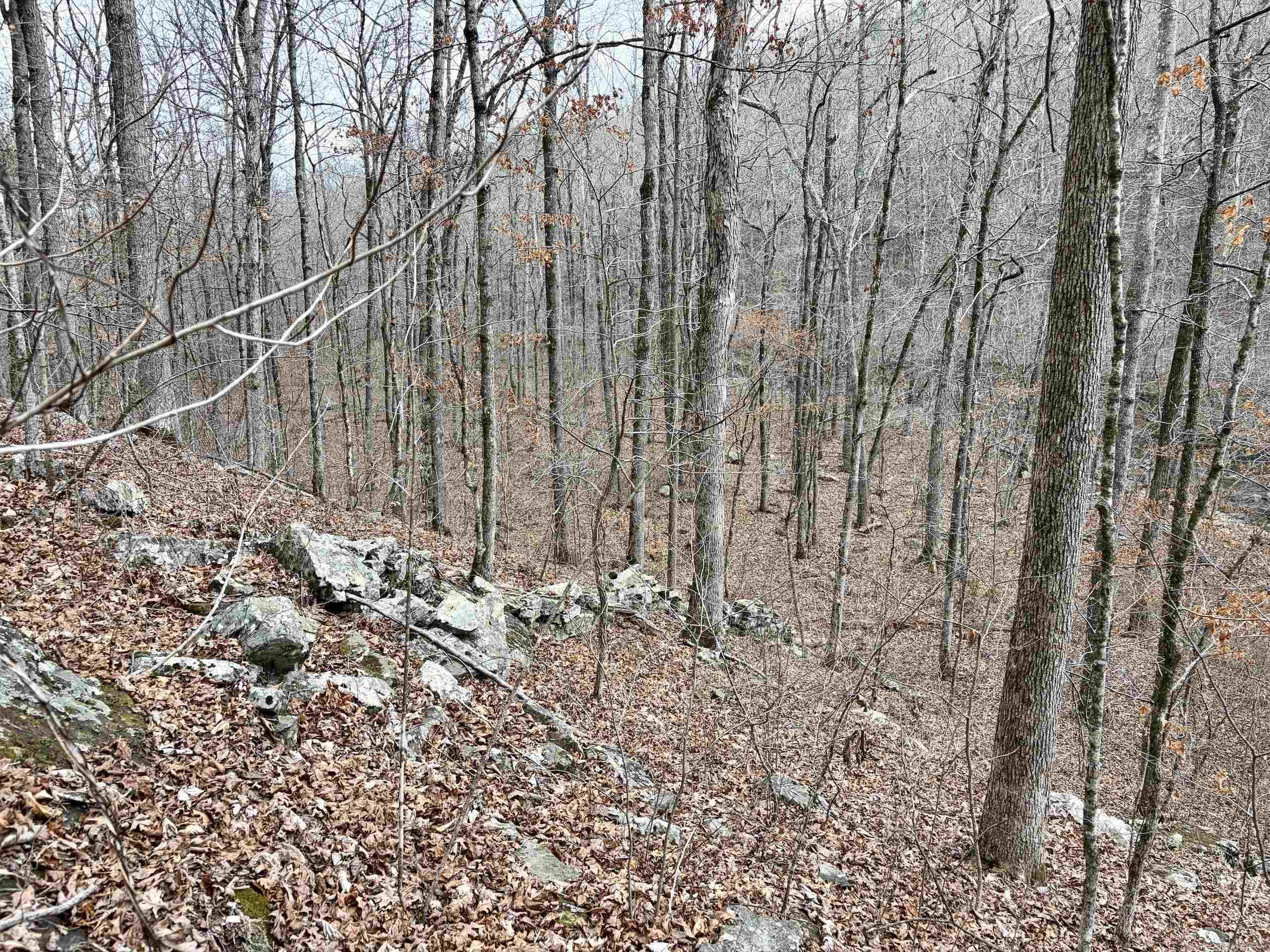 000 Watson Rd  Clinton, AR